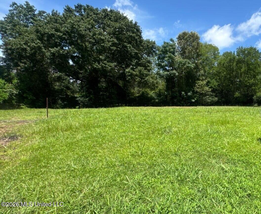 373 Red Eagle Circle Property Photo 3