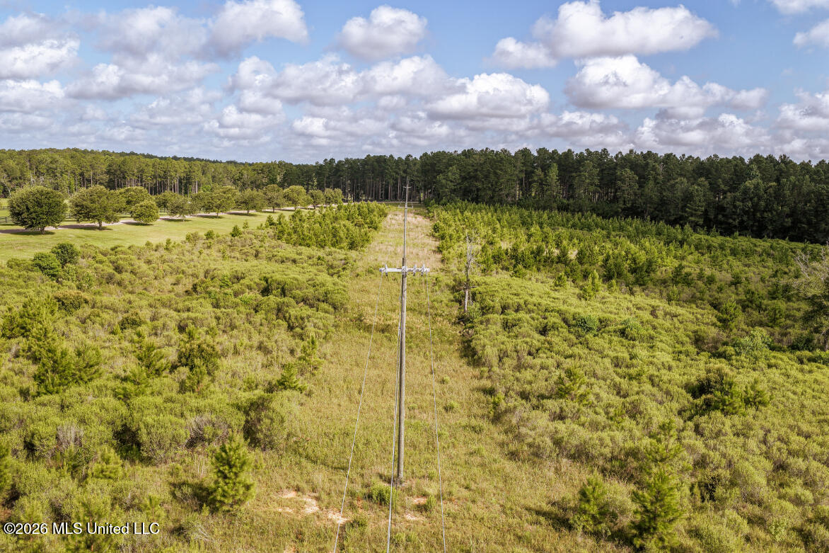Walden Way Property Photo 6
