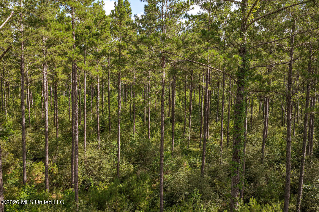 Walden Way Property Photo 12