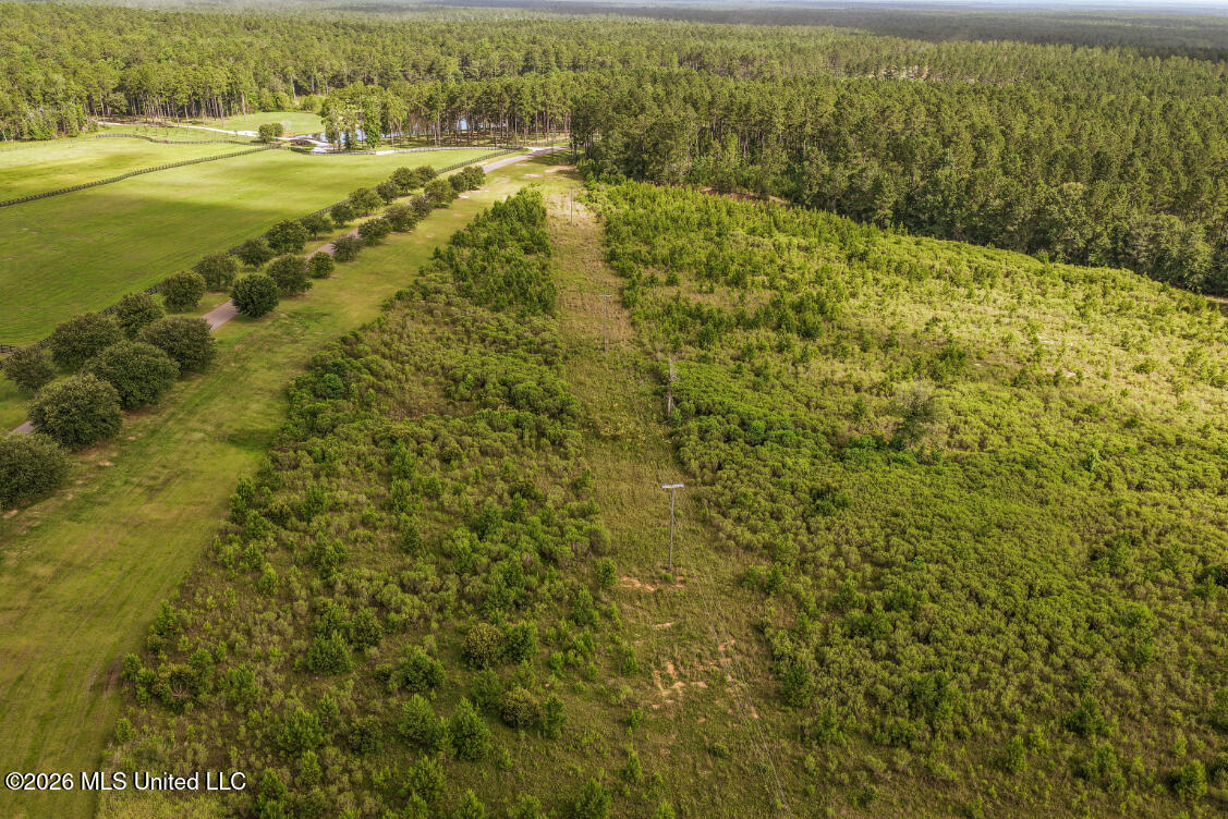 Walden Way Property Photo 18
