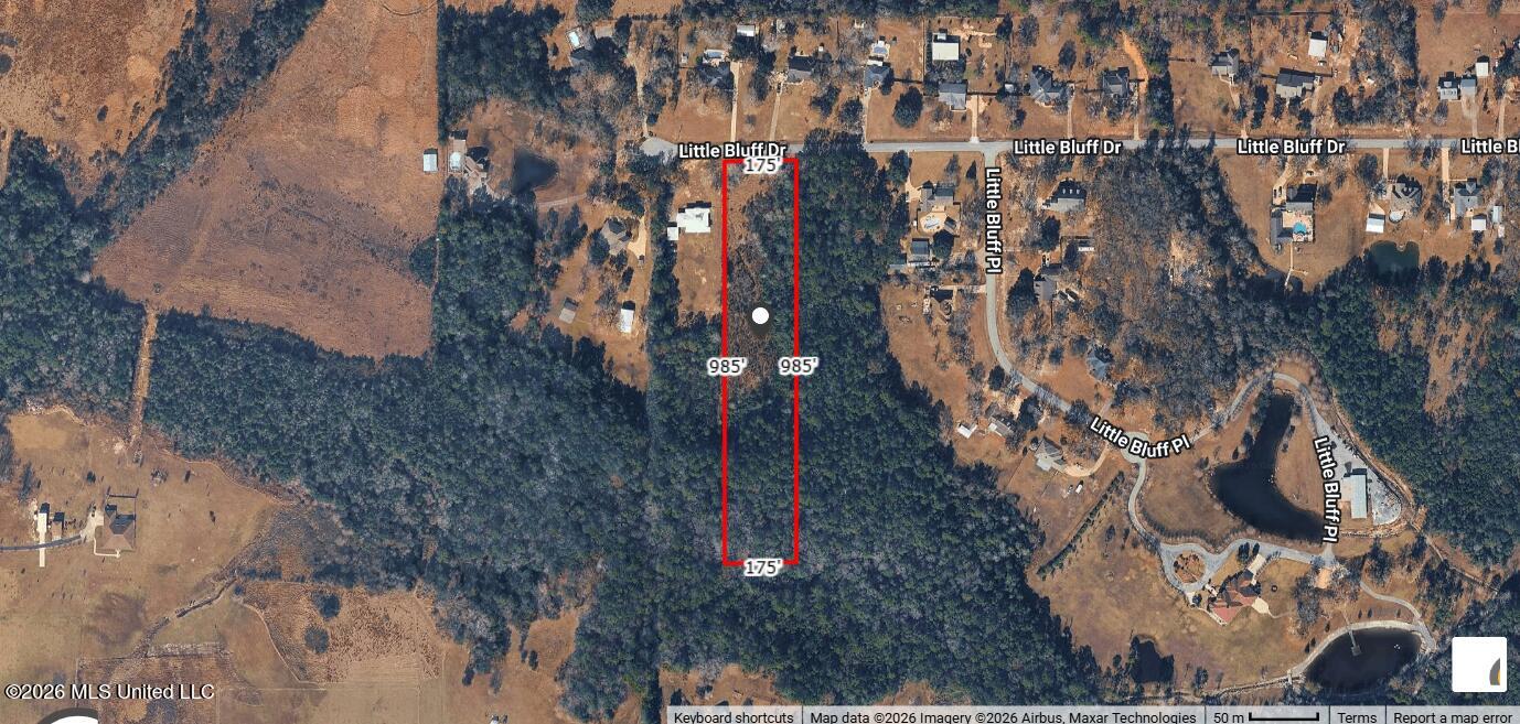 3.9ac Little Bluff Drive Property Photo 1