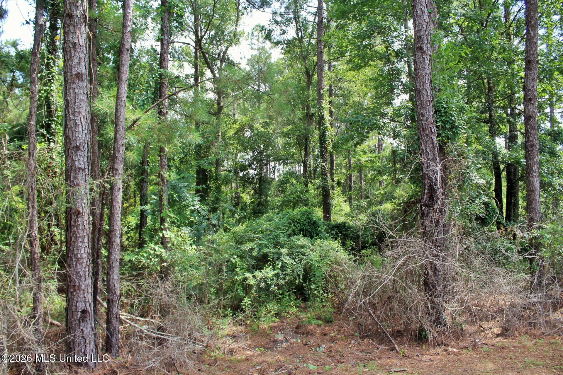3.9ac Little Bluff Drive Property Photo 2