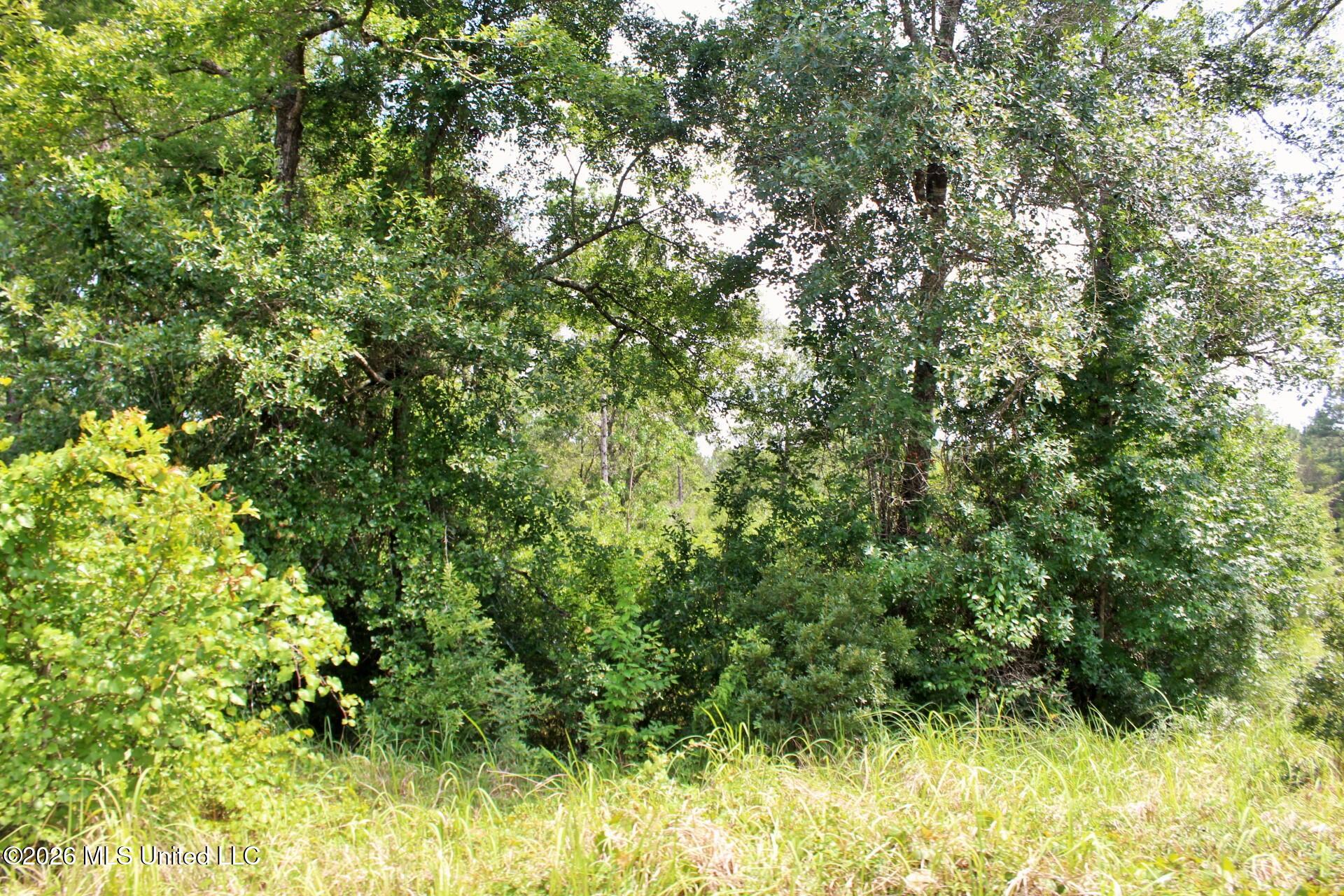 3.9ac Little Bluff Drive Property Photo 4