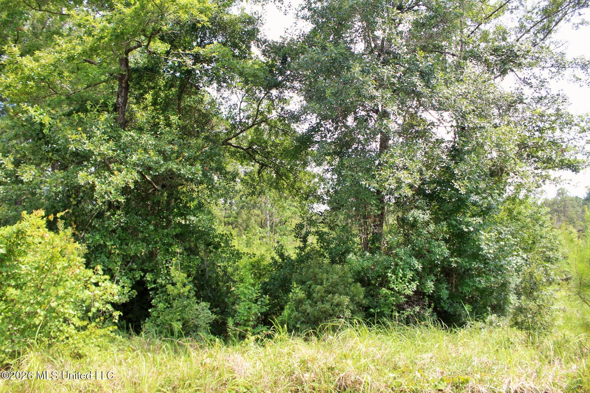 3.9ac Little Bluff Drive Property Photo 6