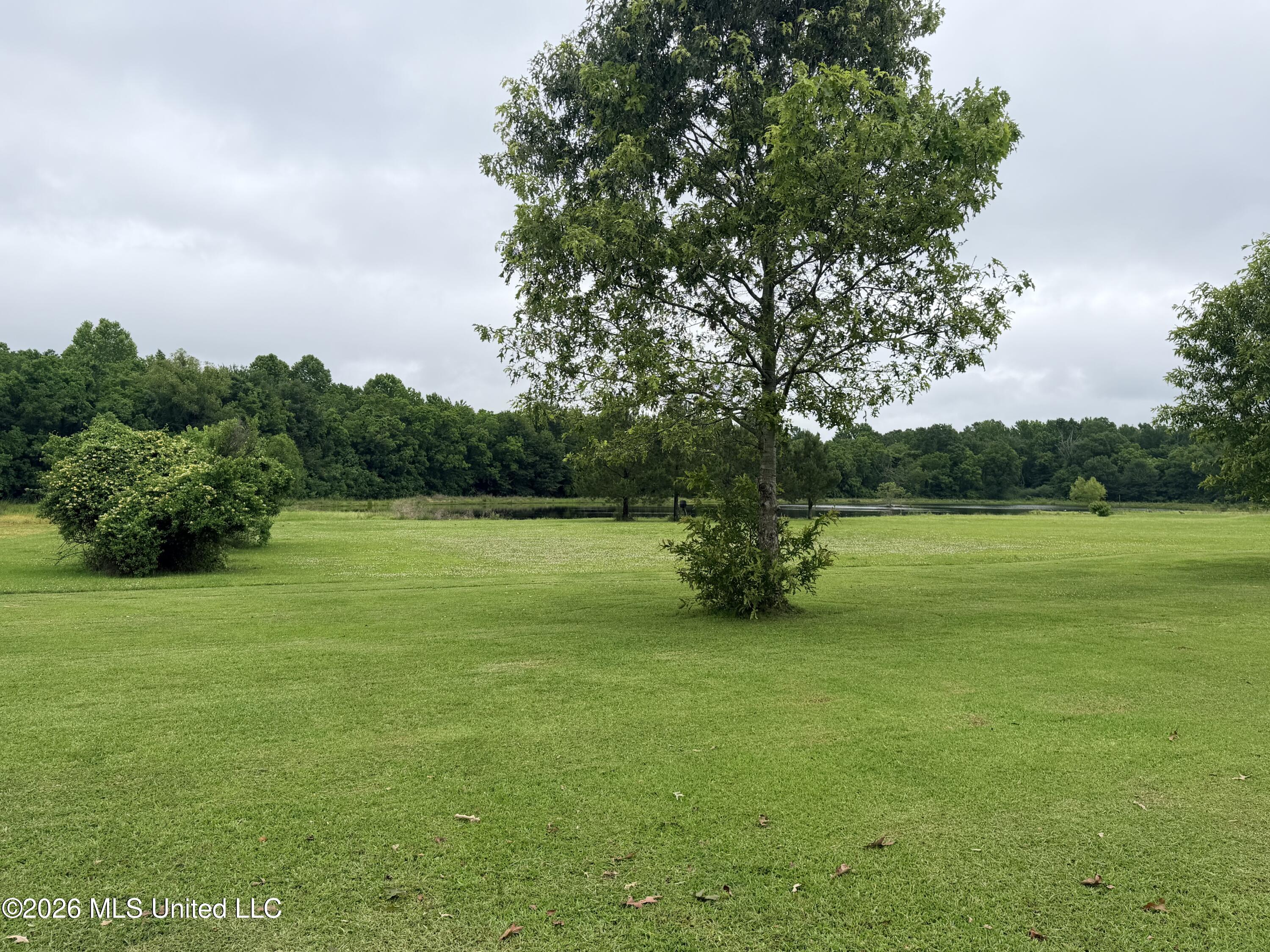 577 Lot# 1 Church Road Property Photo 17