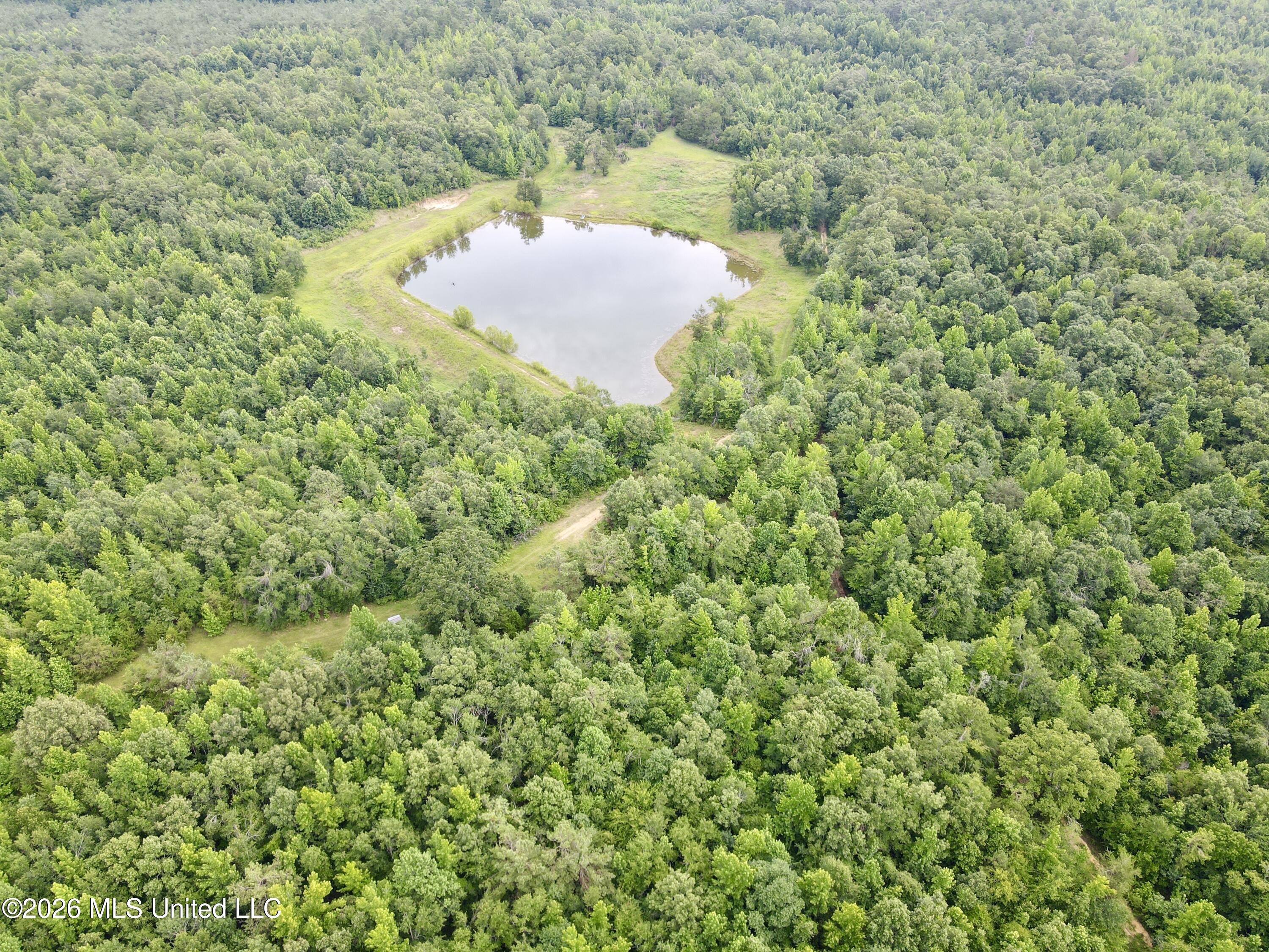 568 Smith Bailey Road Property Photo 13