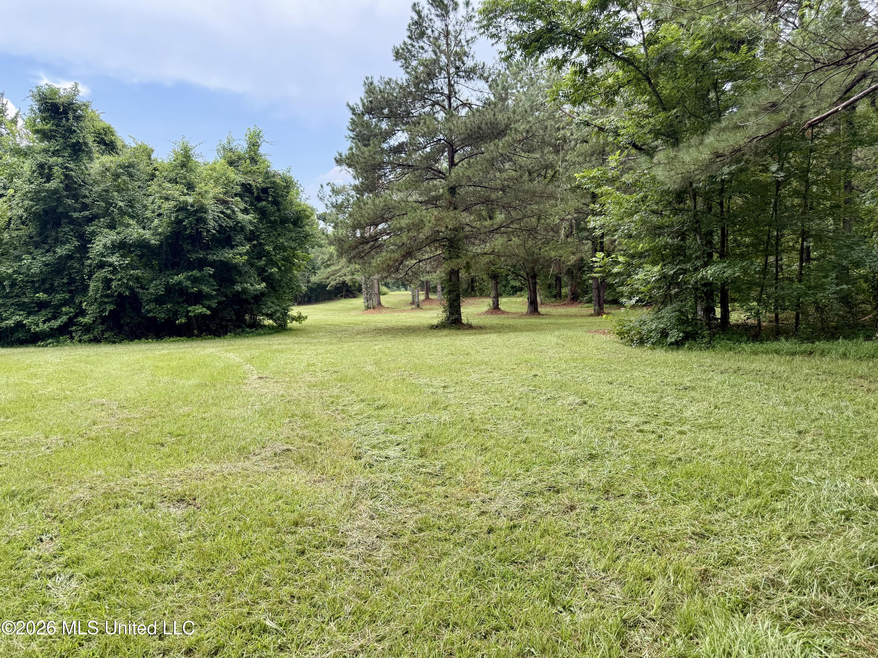 568 Smith Bailey Road Property Photo 15