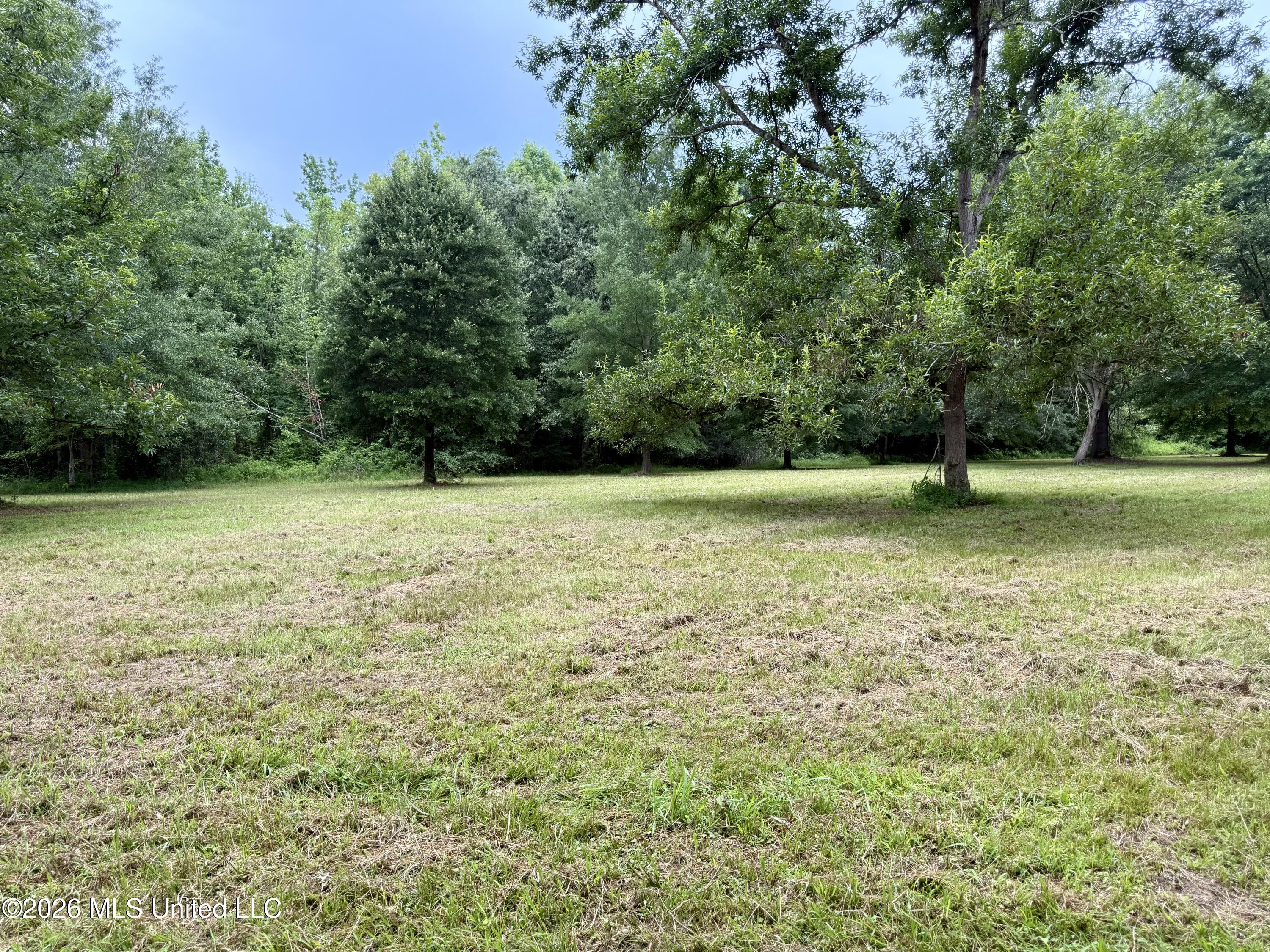 568 Smith Bailey Road Property Photo 16