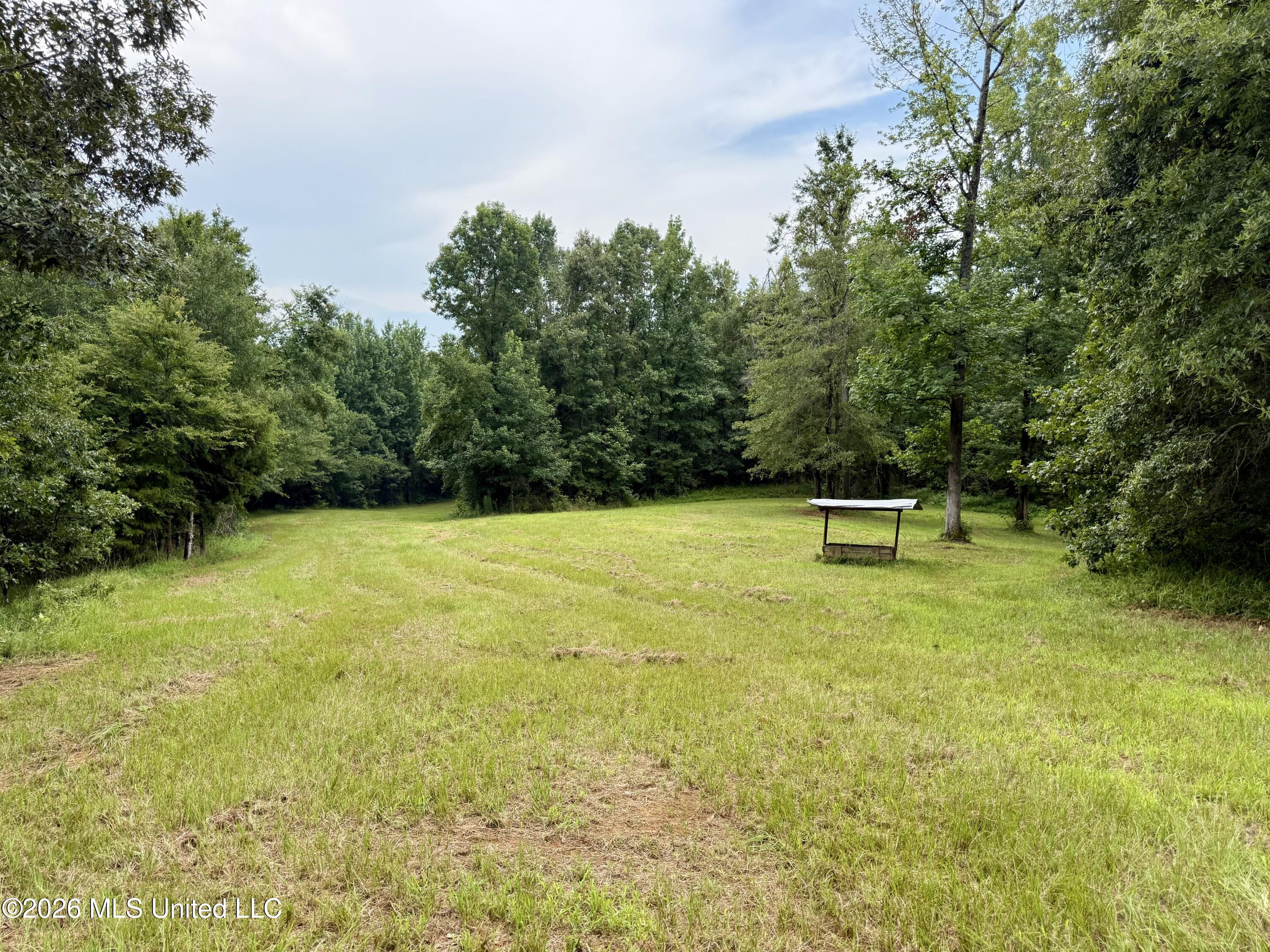 568 Smith Bailey Road Property Photo 18