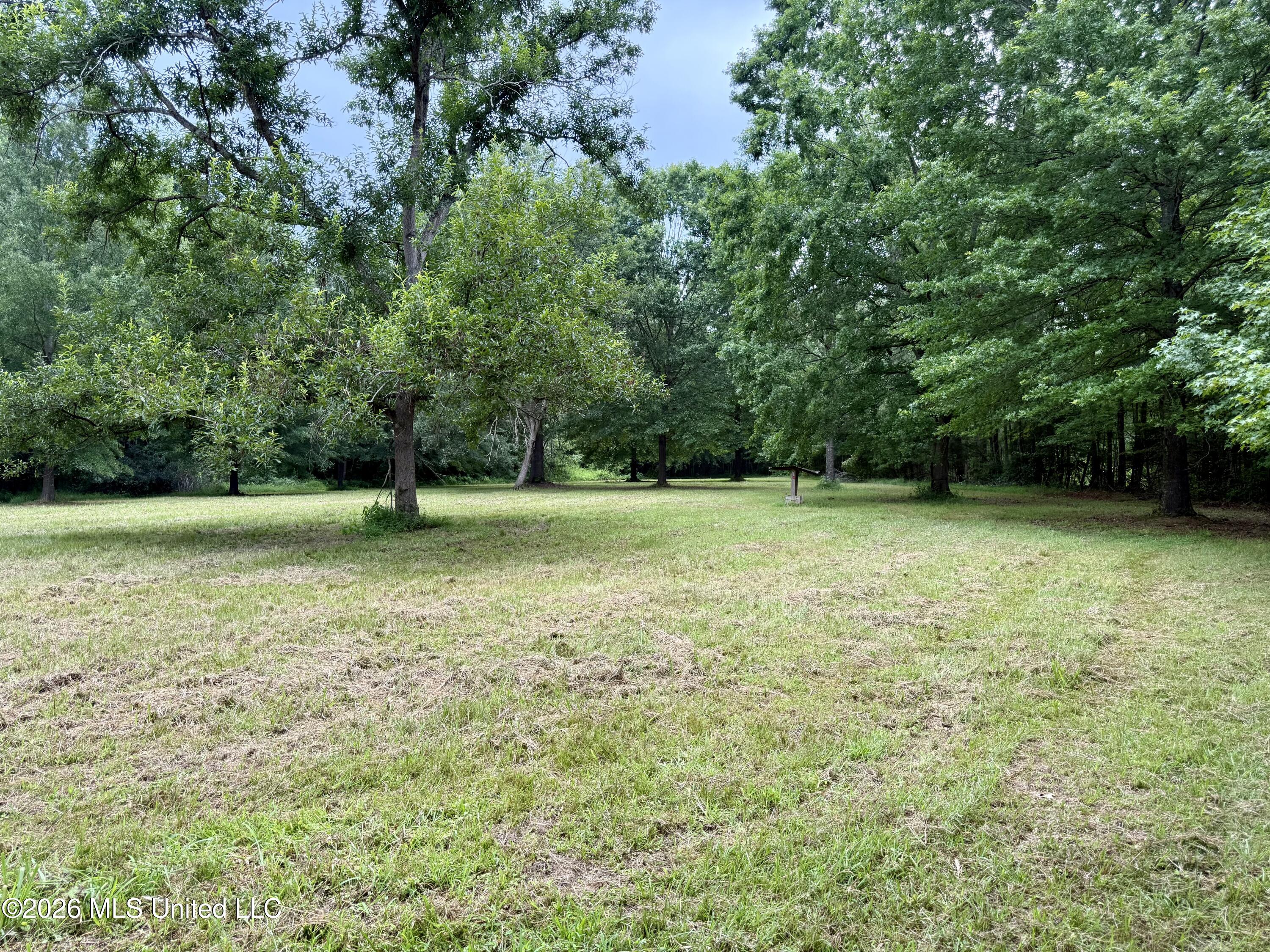 568 Smith Bailey Road Property Photo 19