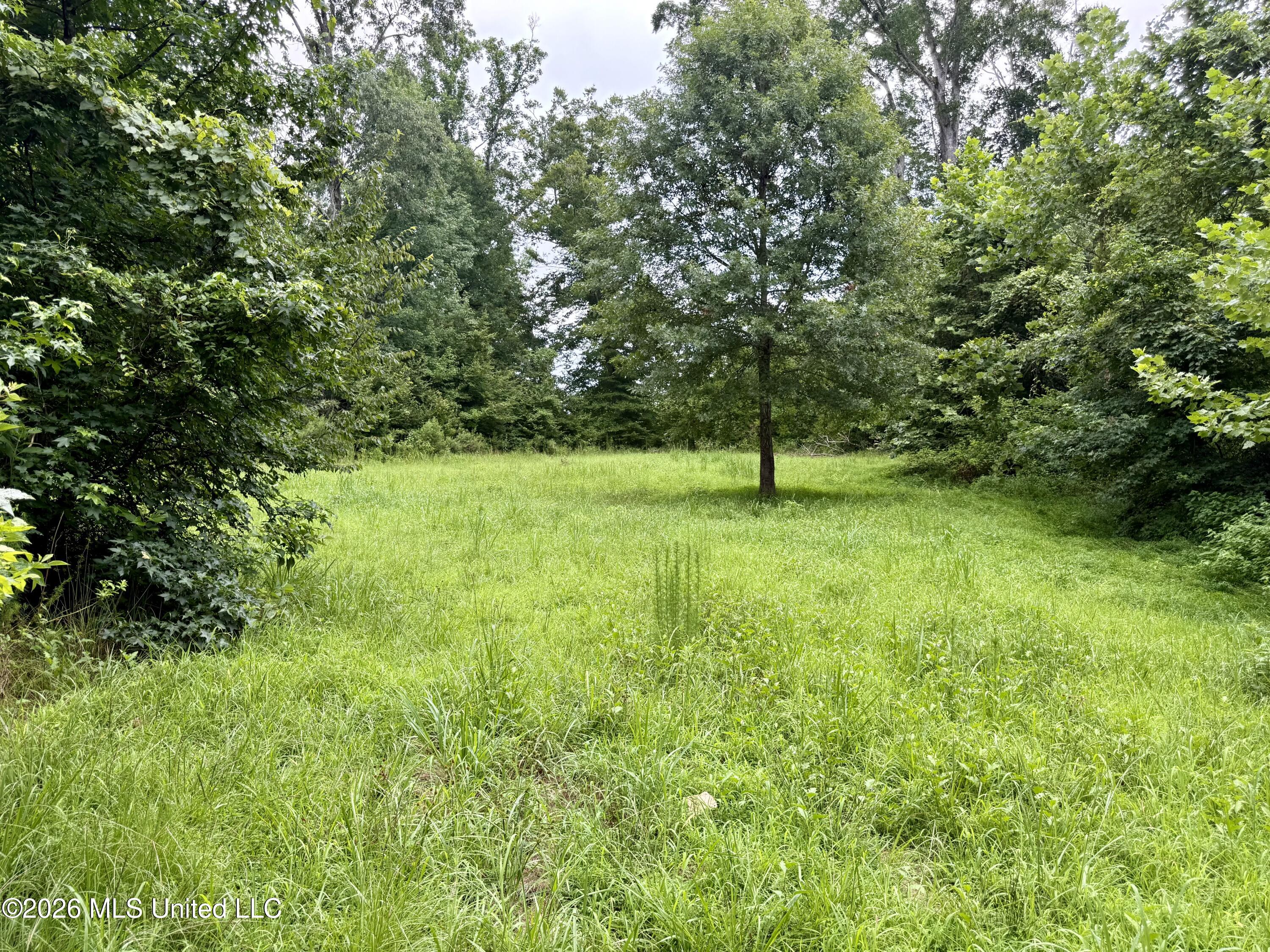 568 Smith Bailey Road Property Photo 22
