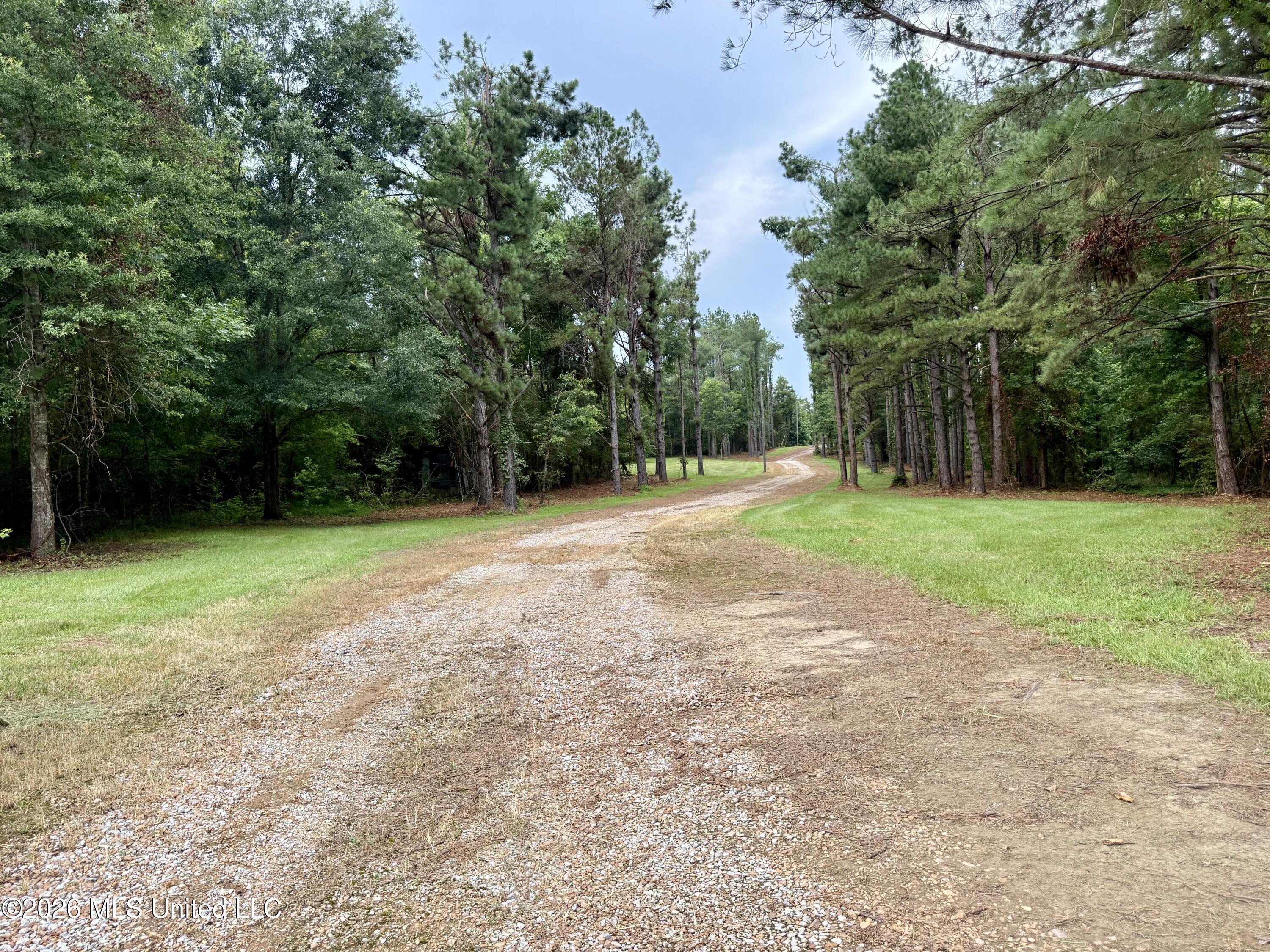 568 Smith Bailey Road Property Photo 23