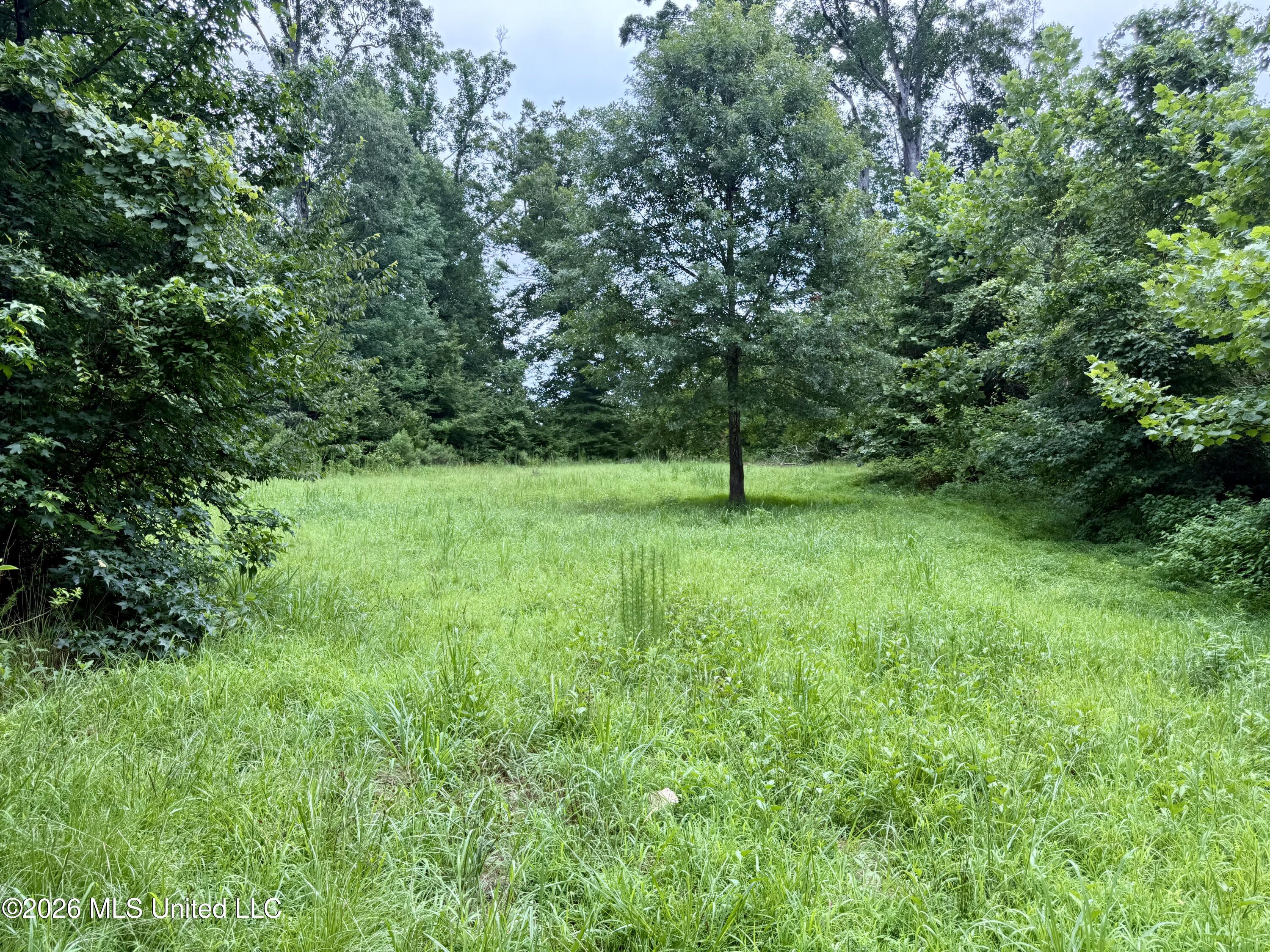 568 Smith Bailey Road Property Photo 26