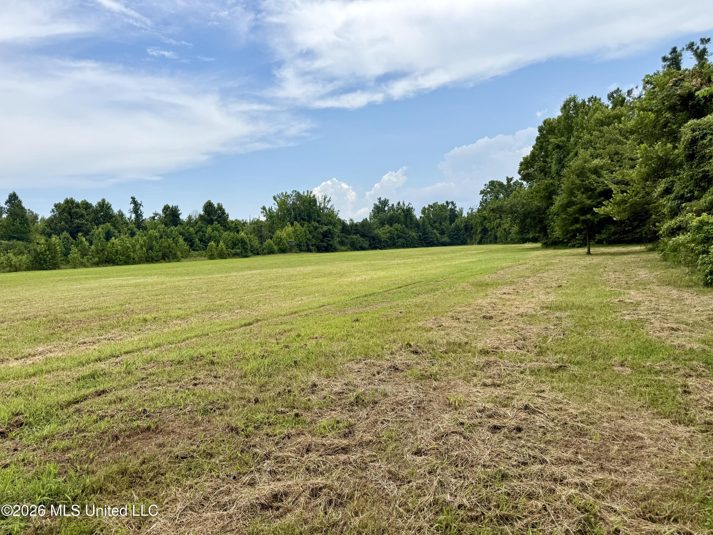 568 Smith Bailey Road Property Photo 27