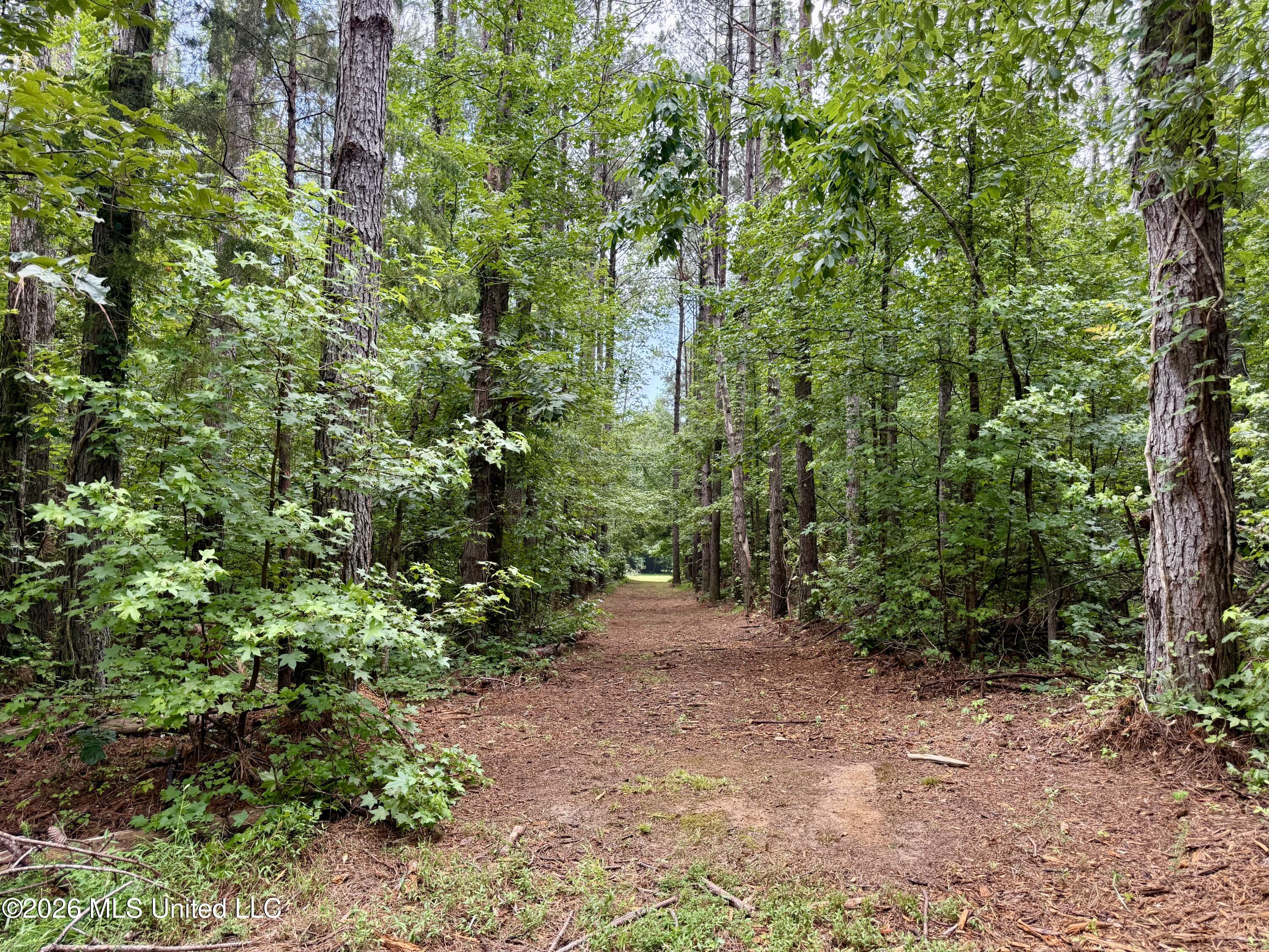 568 Smith Bailey Road Property Photo 28