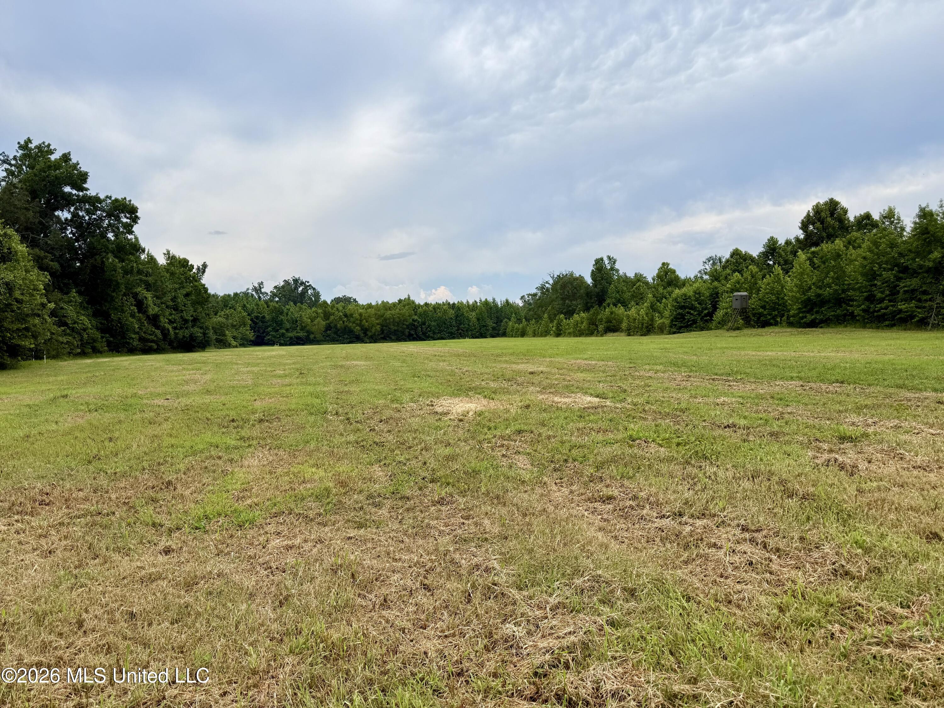 568 Smith Bailey Road Property Photo 29