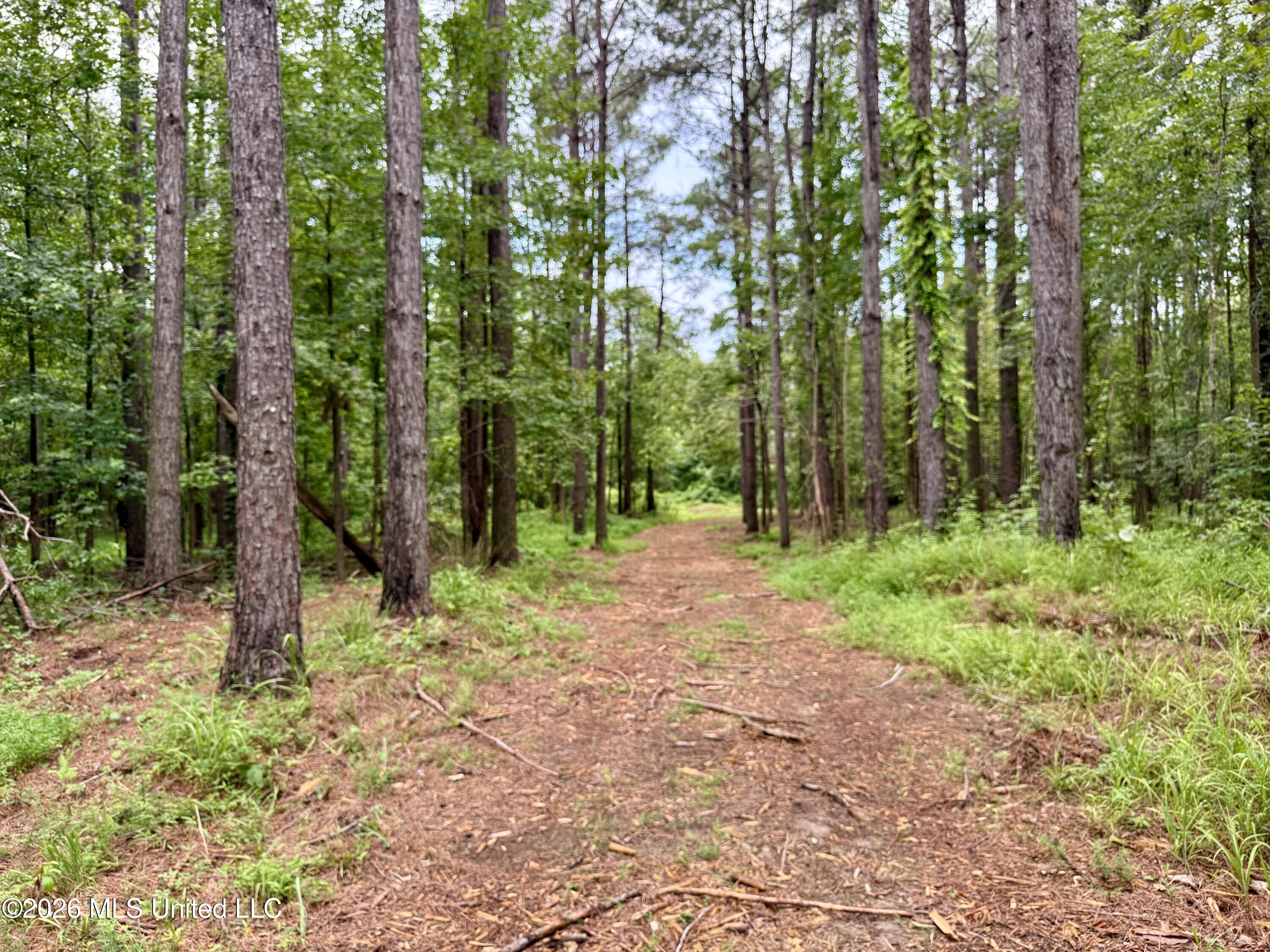 568 Smith Bailey Road Property Photo 30
