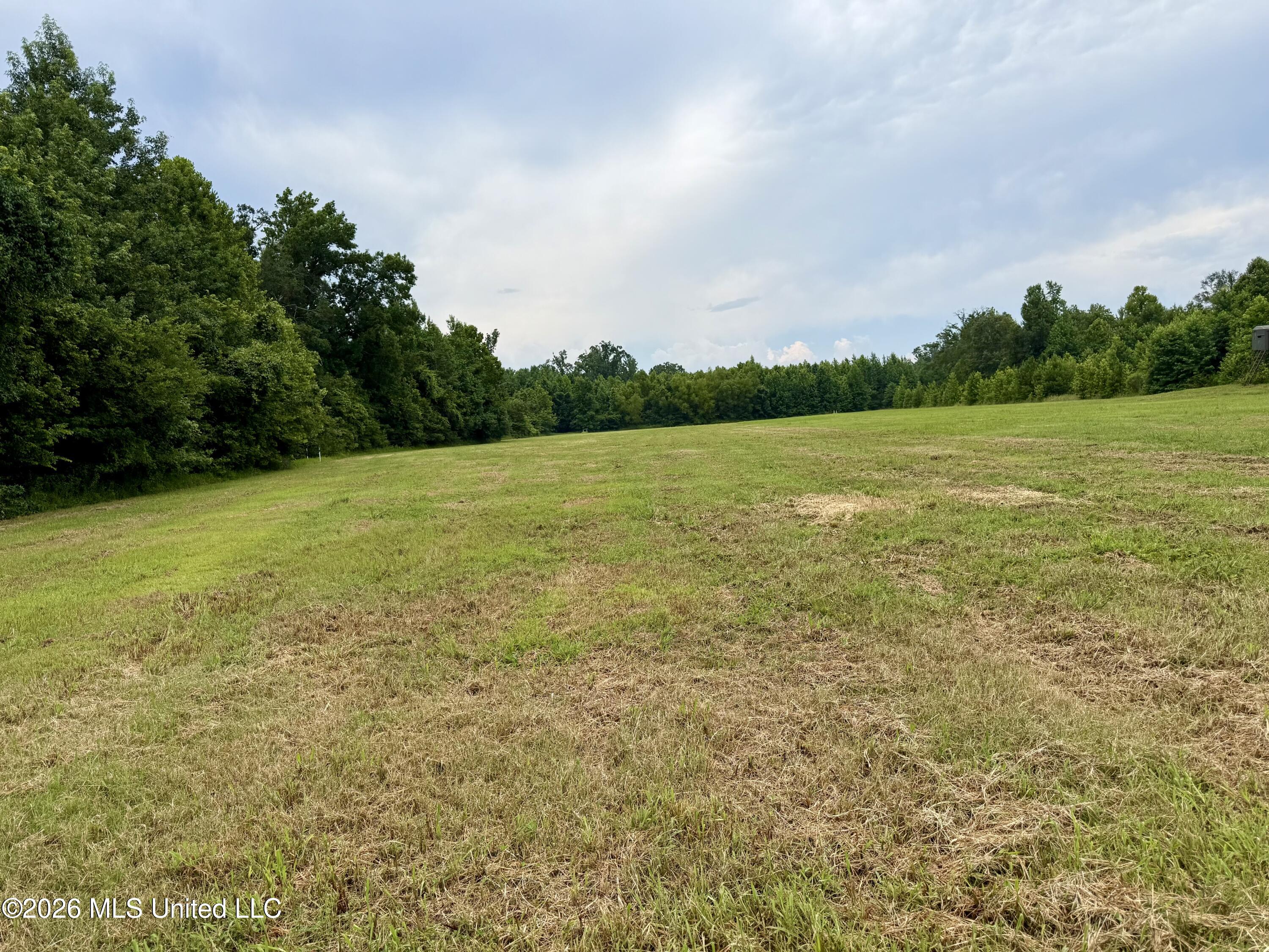 568 Smith Bailey Road Property Photo 31