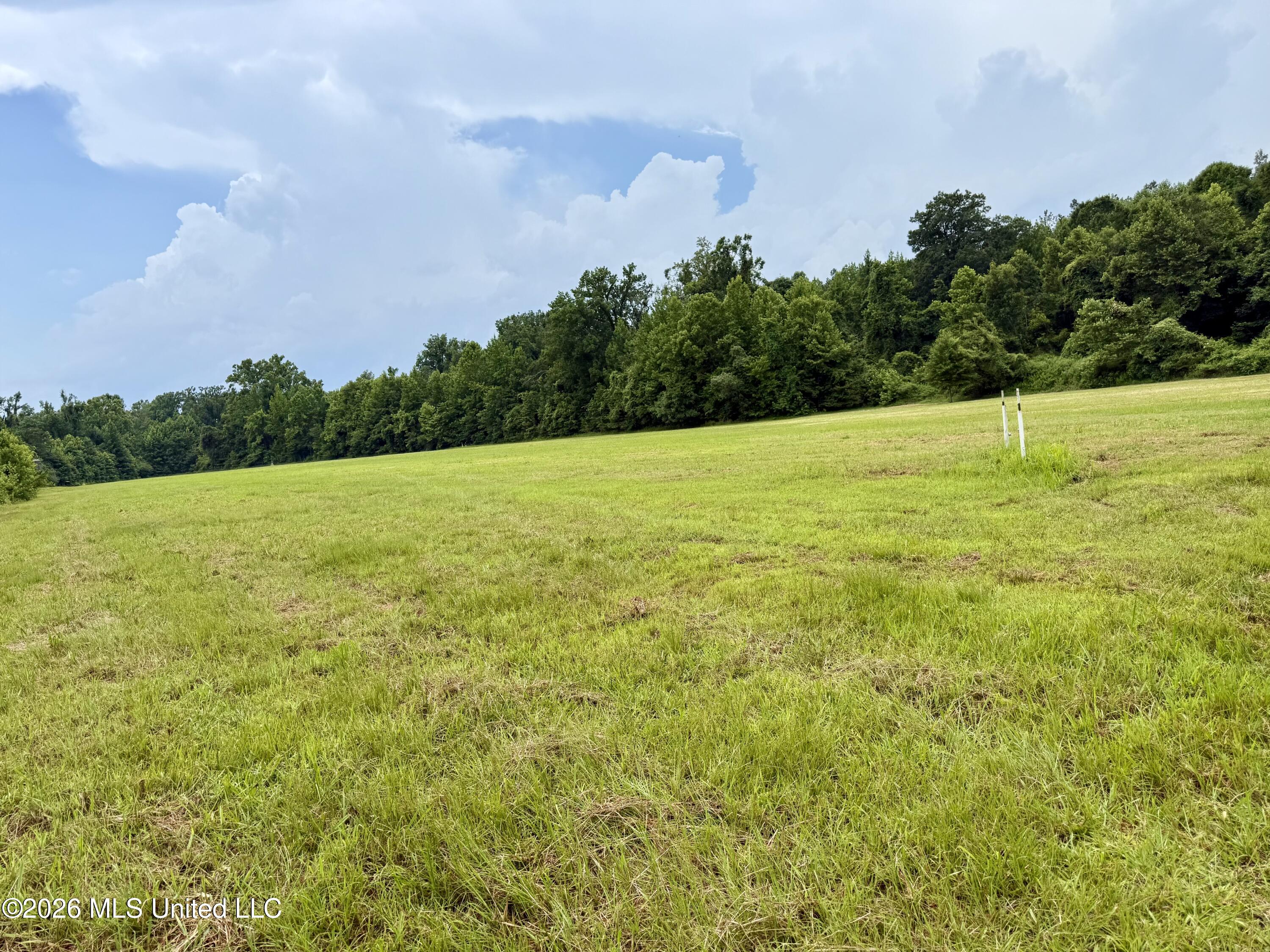 568 Smith Bailey Road Property Photo 32