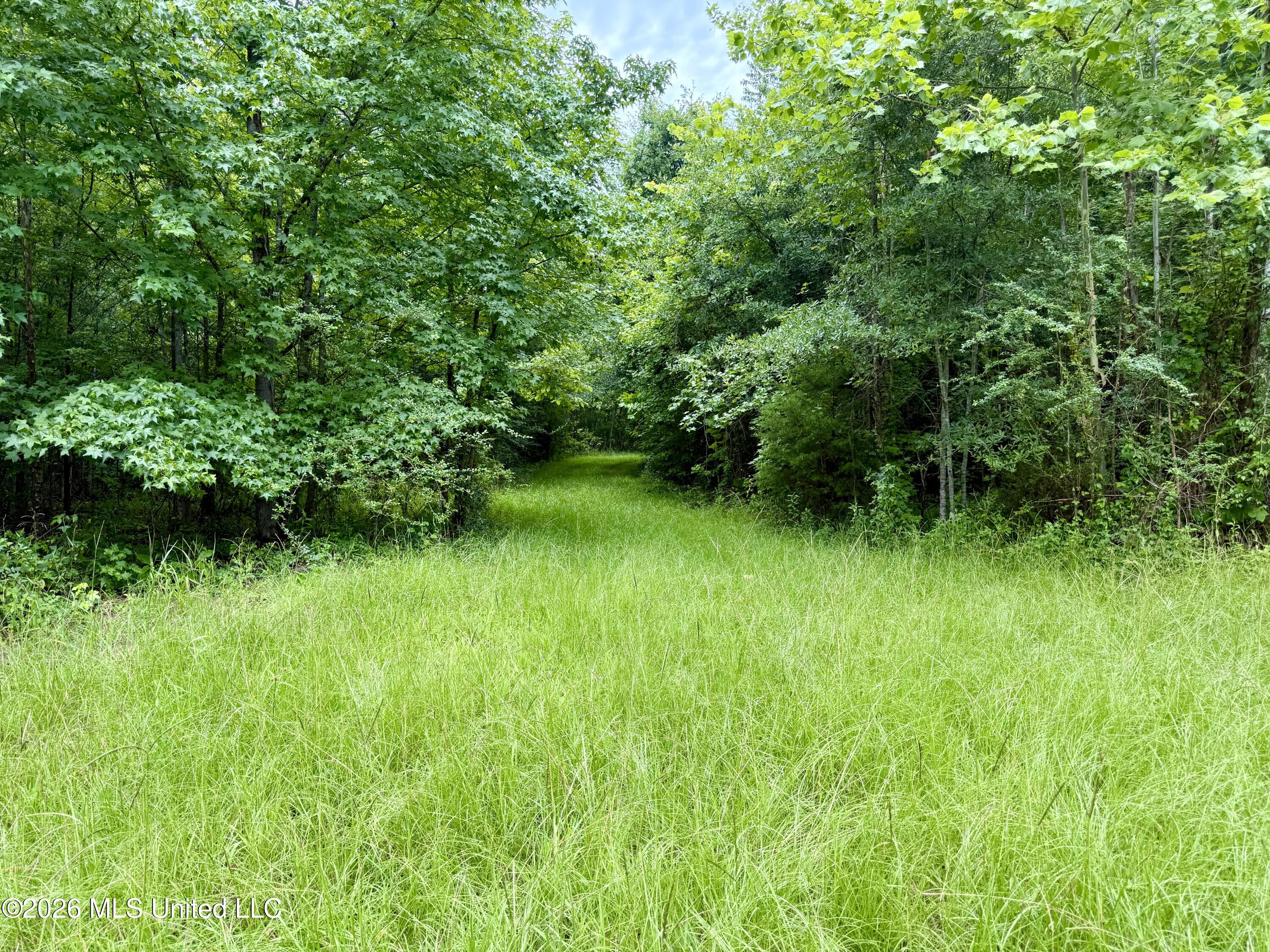 568 Smith Bailey Road Property Photo 33