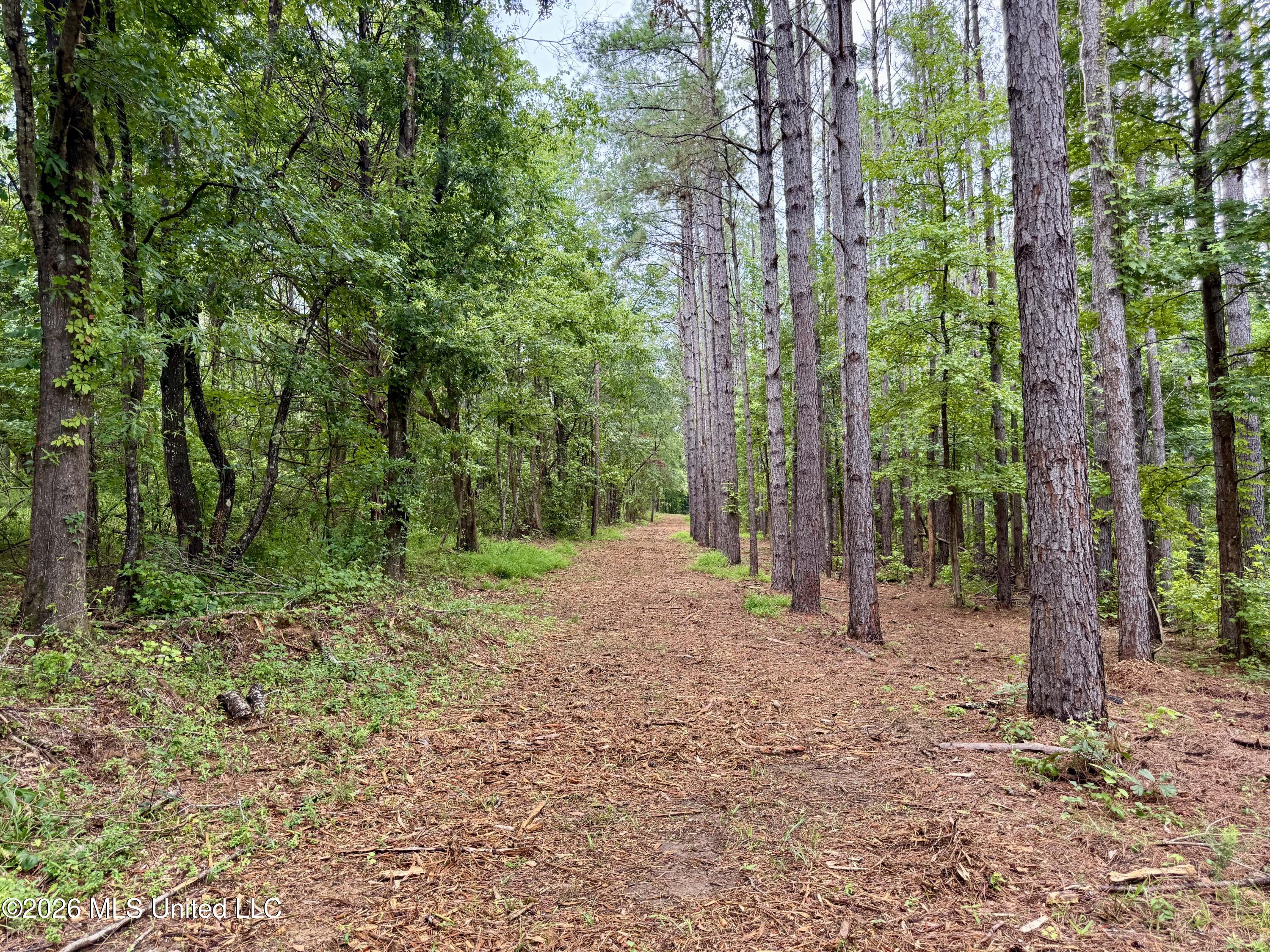568 Smith Bailey Road Property Photo 34
