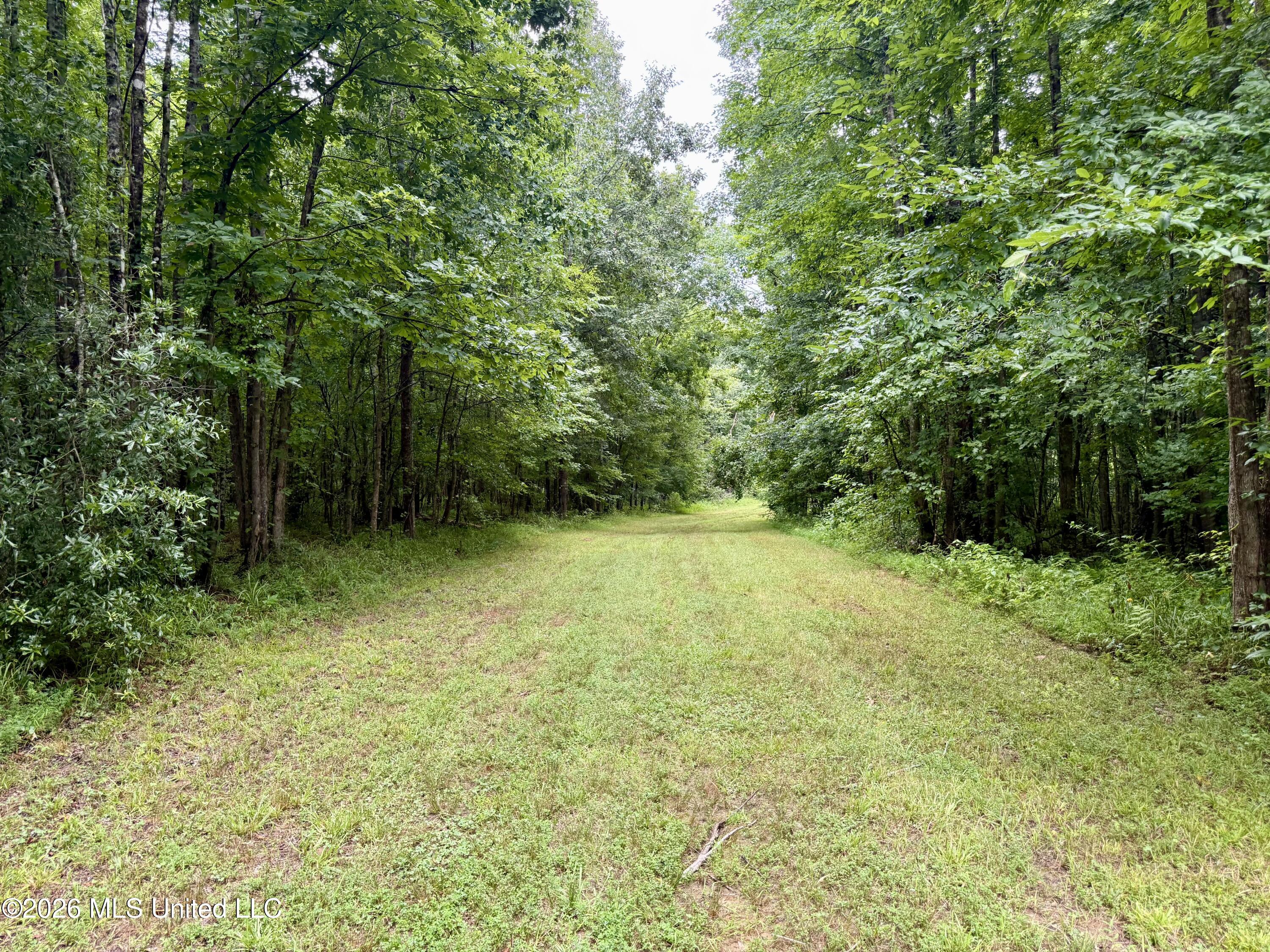 568 Smith Bailey Road Property Photo 35