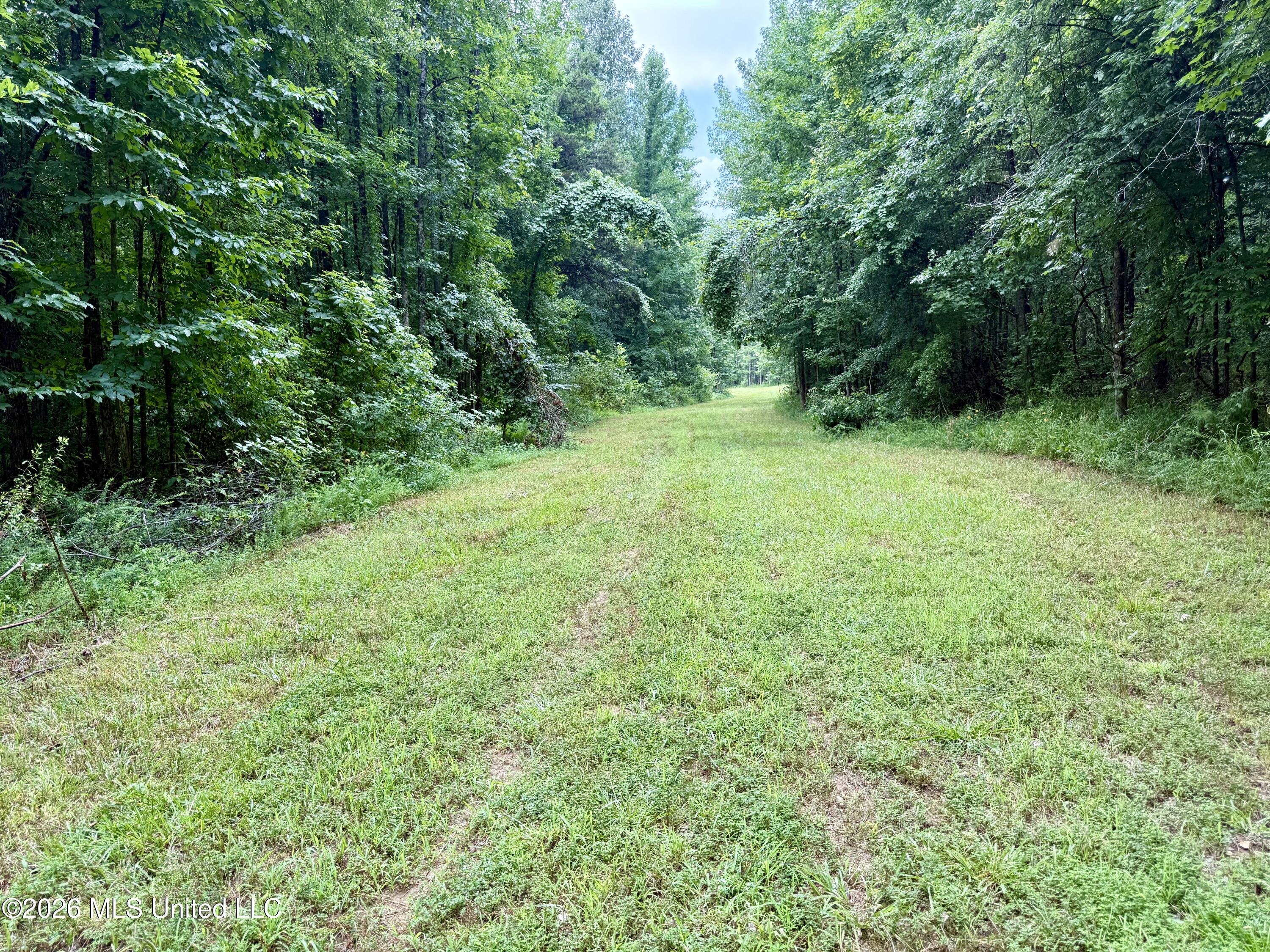 568 Smith Bailey Road Property Photo 36