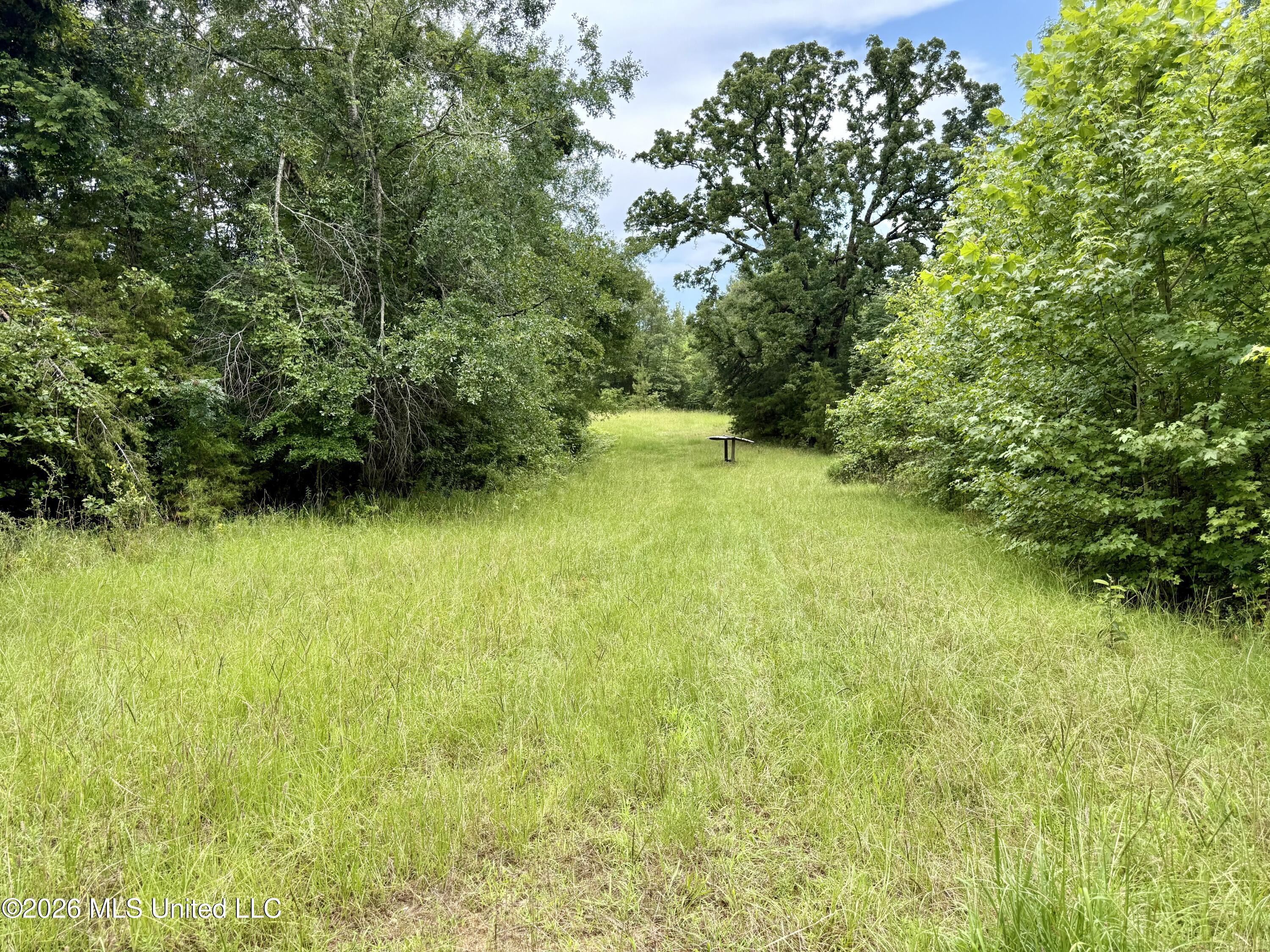 568 Smith Bailey Road Property Photo 37