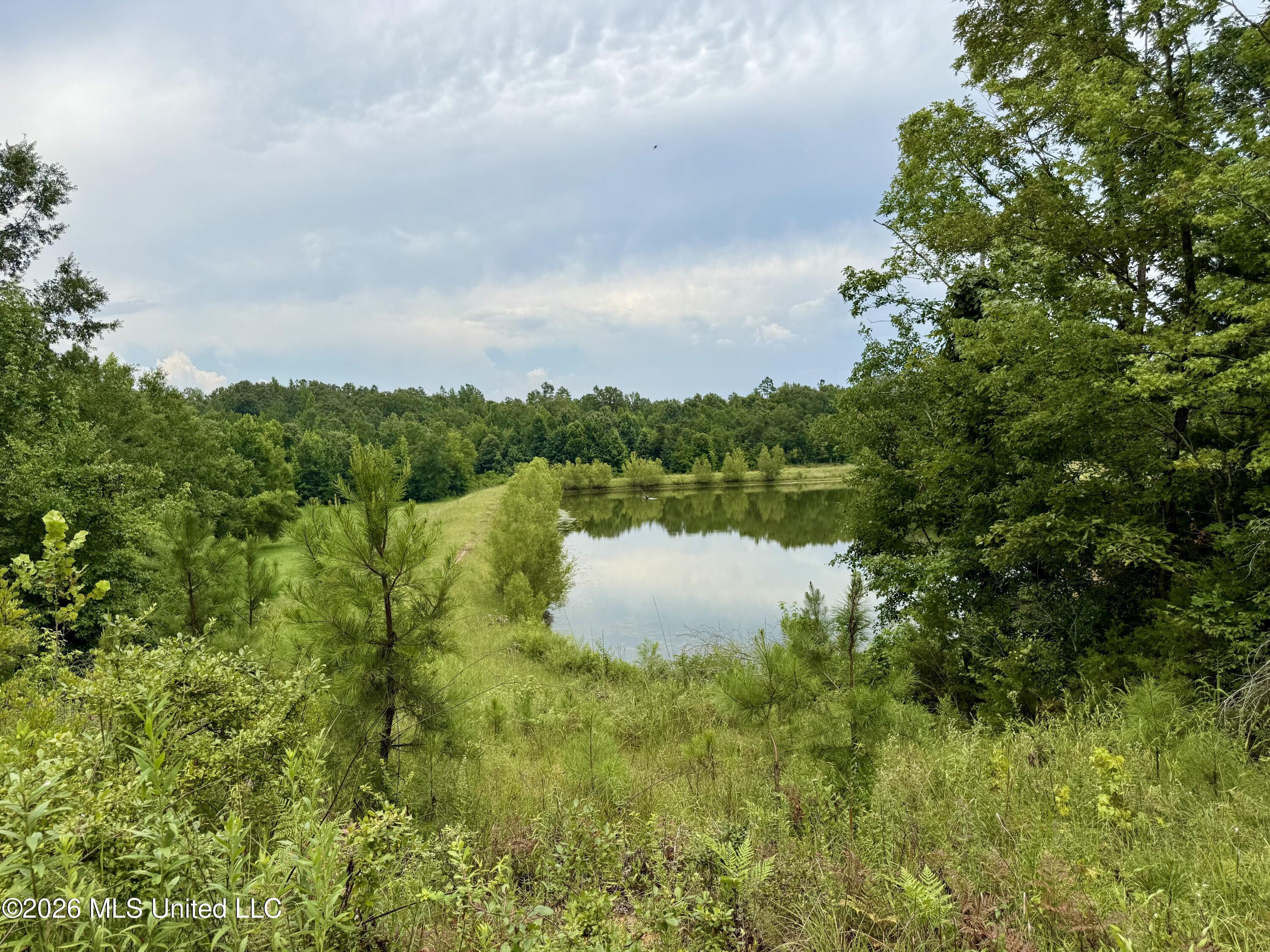 568 Smith Bailey Road Property Photo 38