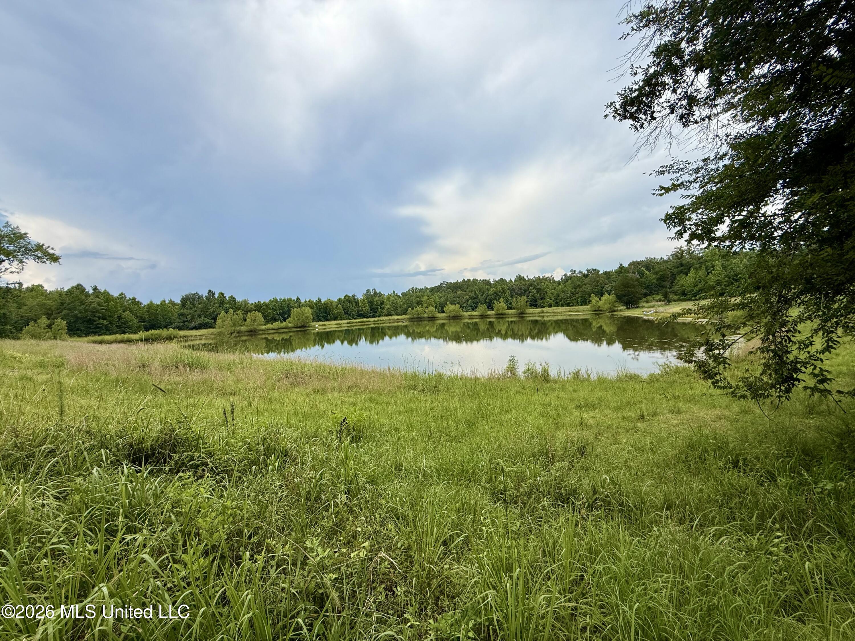 568 Smith Bailey Road Property Photo 39