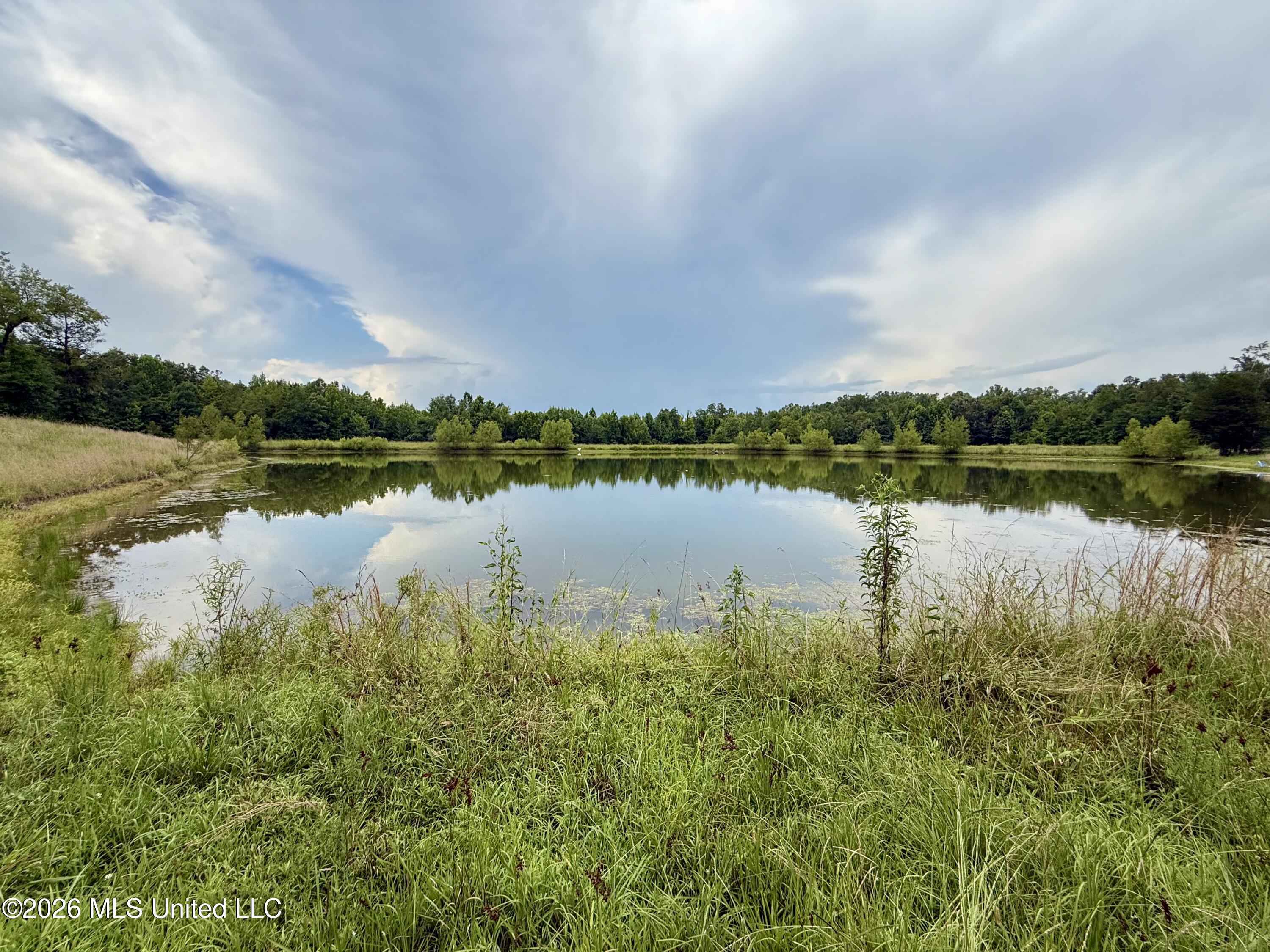 568 Smith Bailey Road Property Photo 40