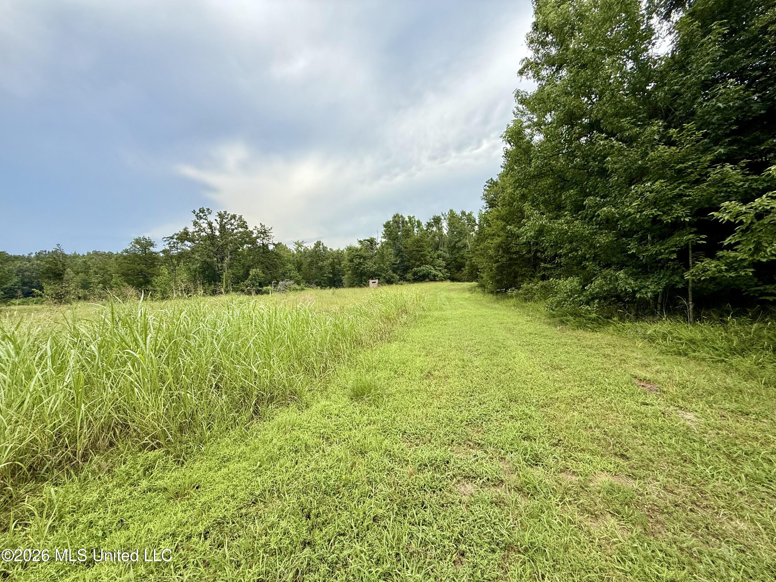568 Smith Bailey Road Property Photo 41