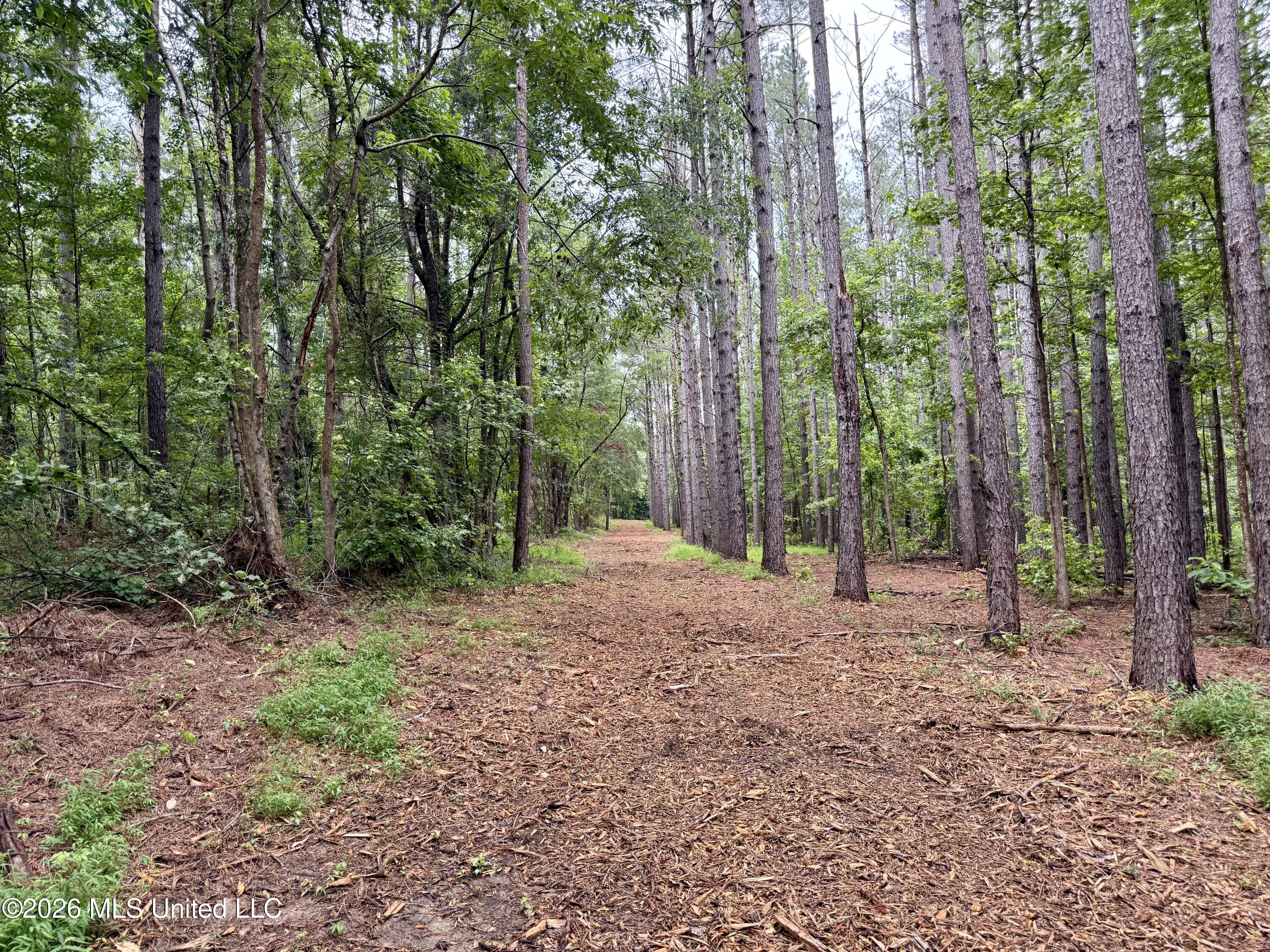 568 Smith Bailey Road Property Photo 42