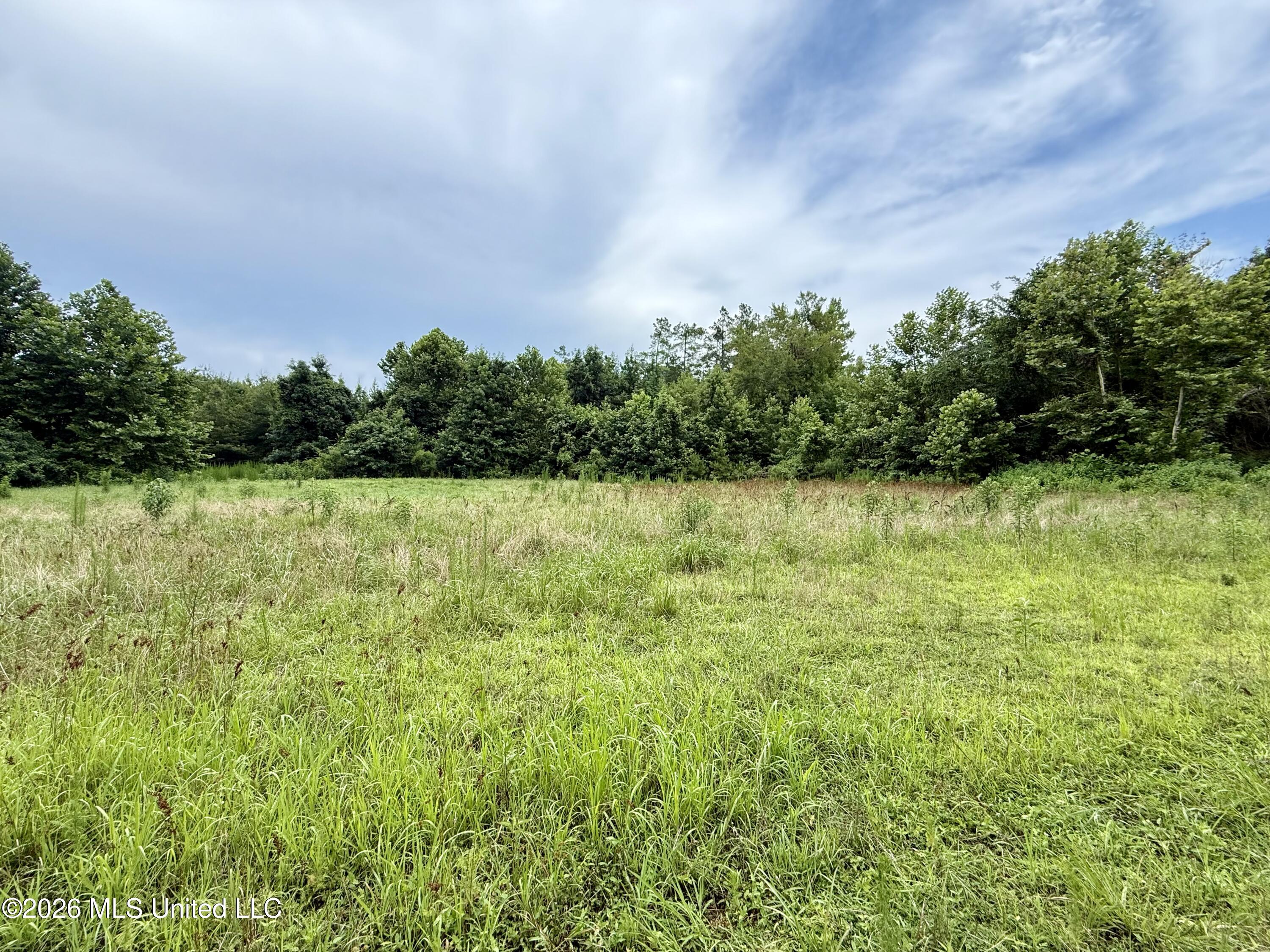568 Smith Bailey Road Property Photo 43