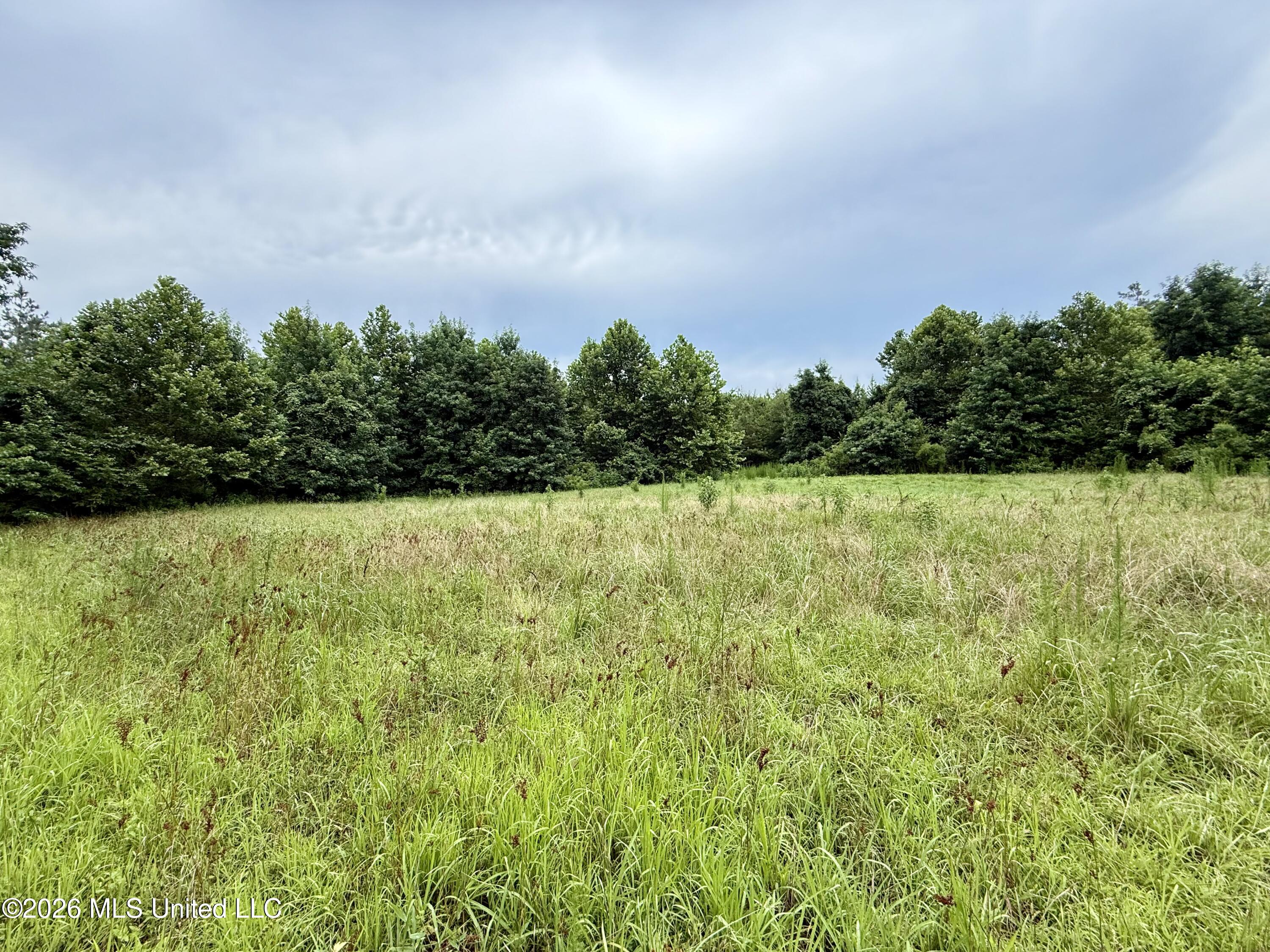 568 Smith Bailey Road Property Photo 44