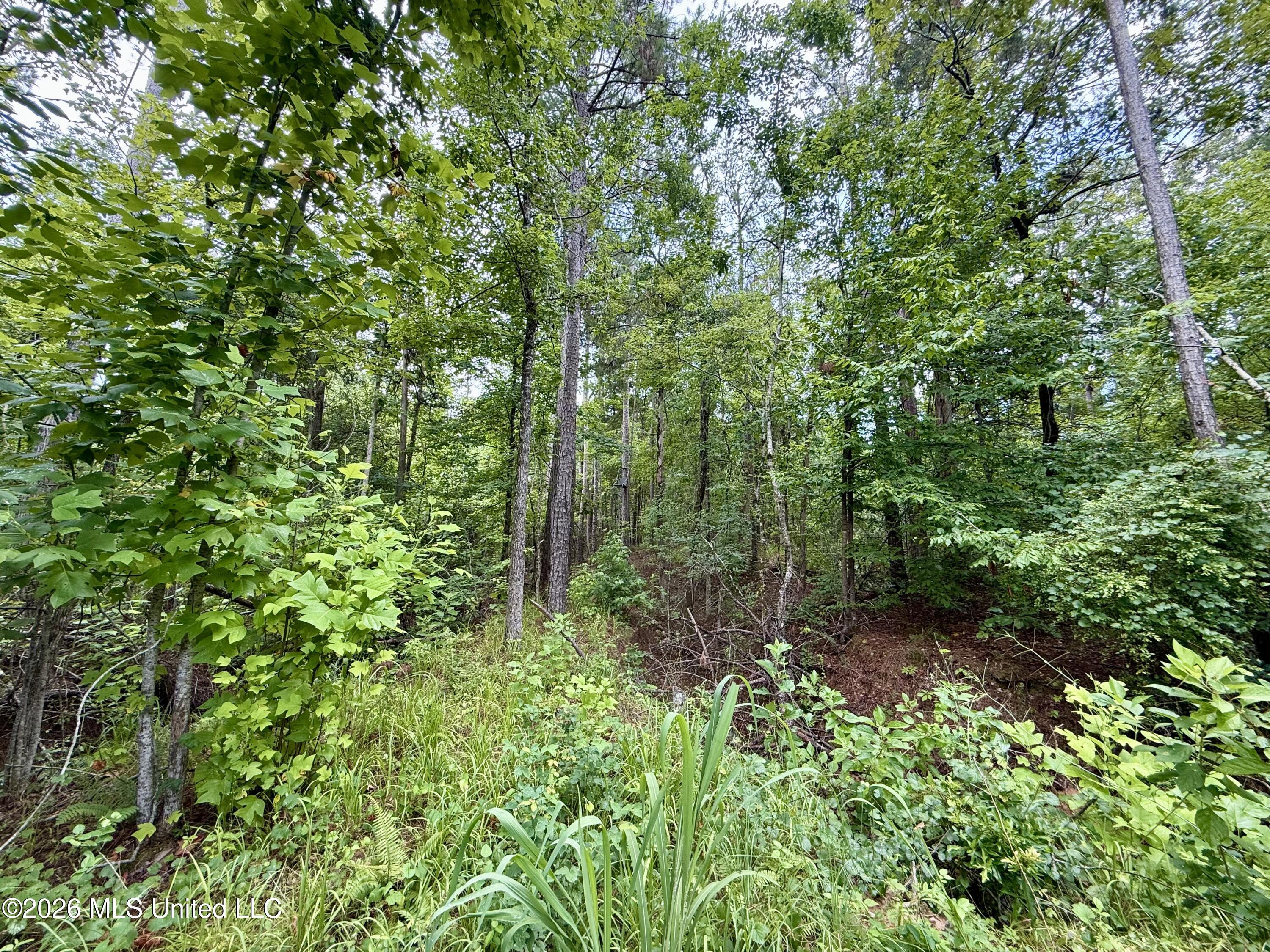 568 Smith Bailey Road Property Photo 45