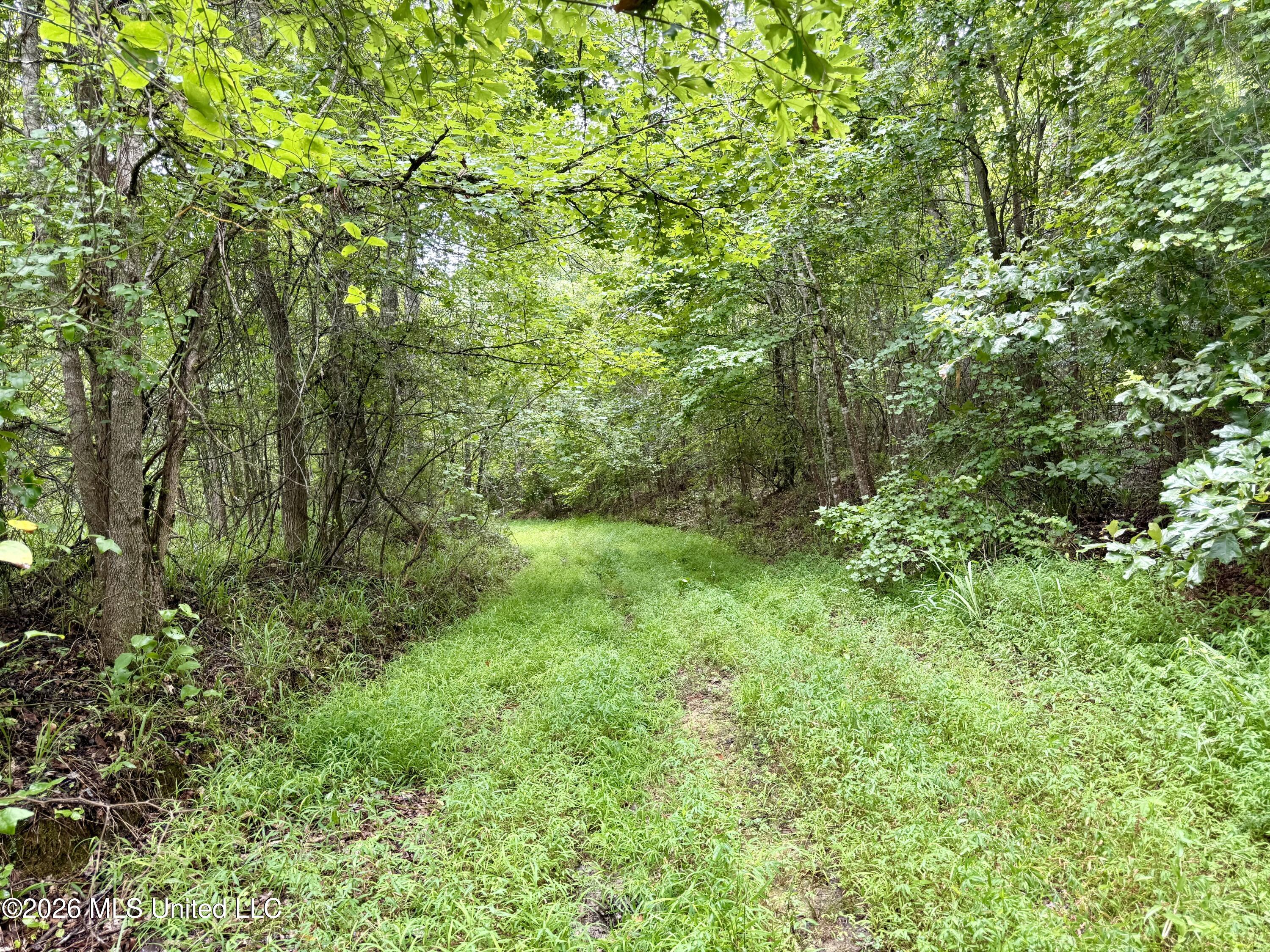 568 Smith Bailey Road Property Photo 46