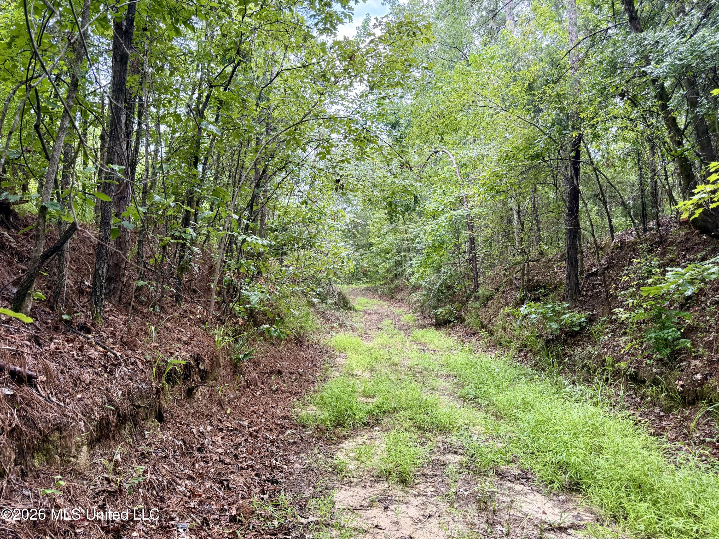 568 Smith Bailey Road Property Photo 47