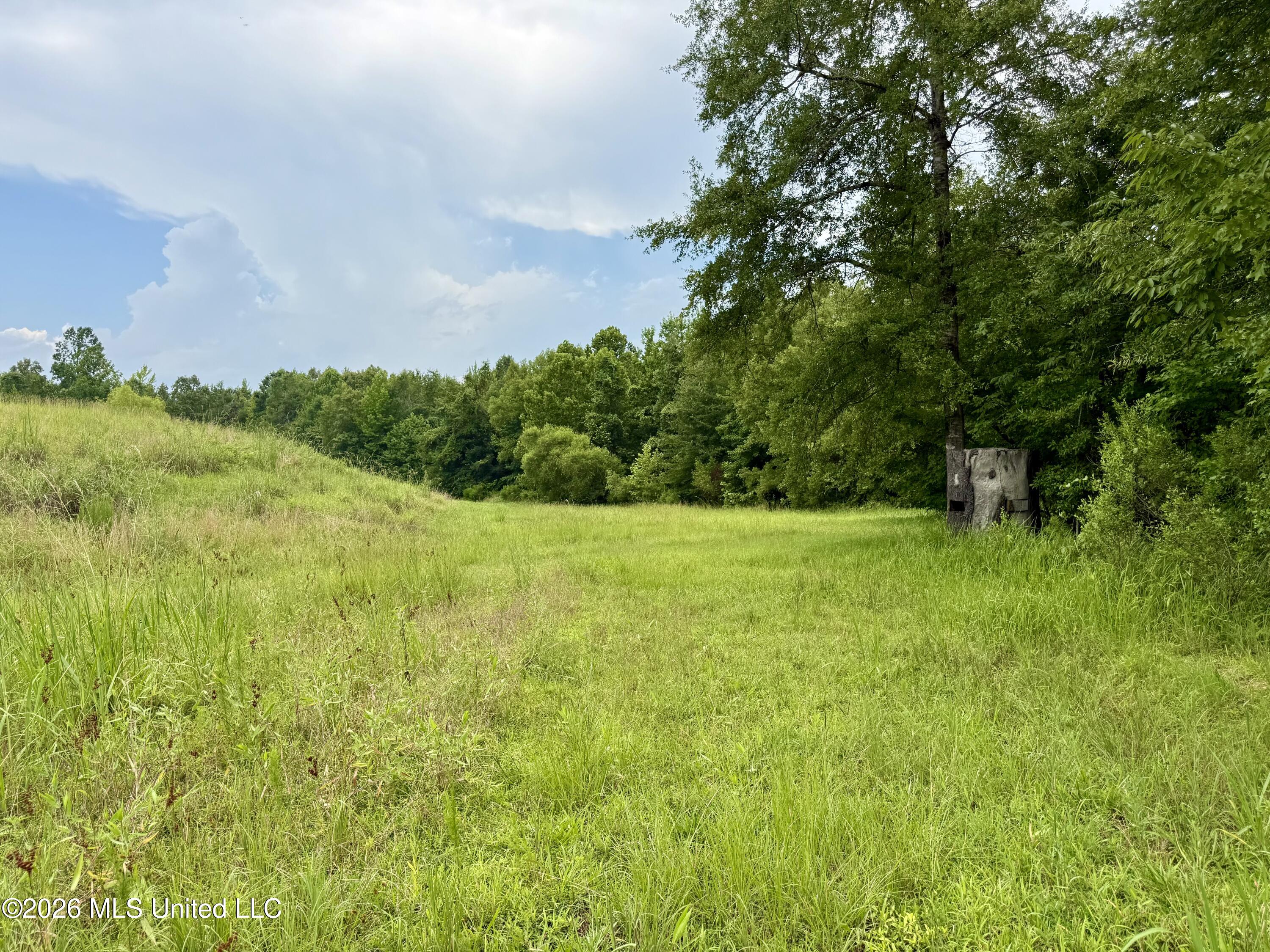 568 Smith Bailey Road Property Photo 48