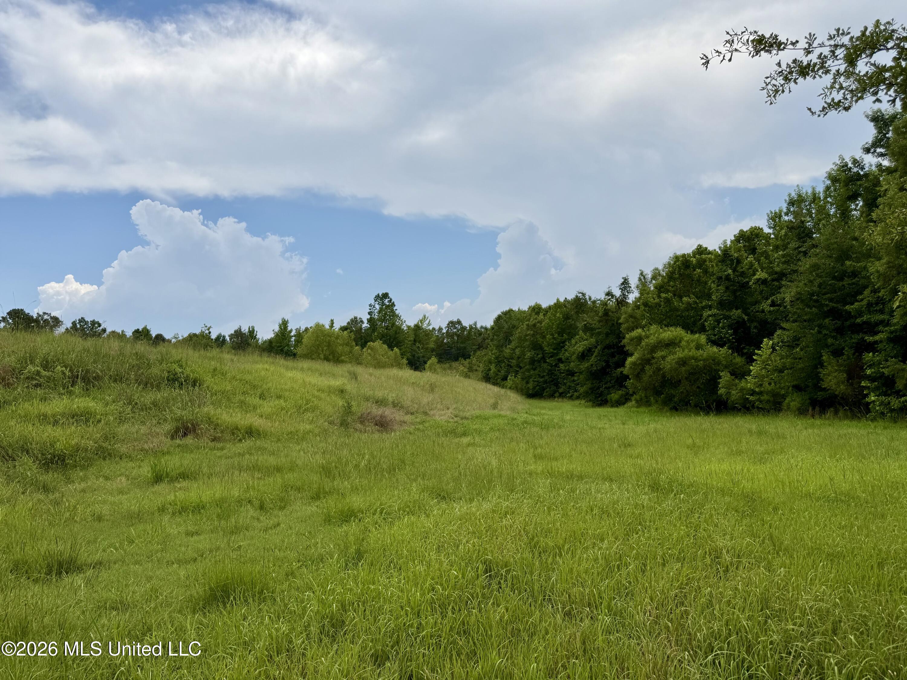 568 Smith Bailey Road Property Photo 49