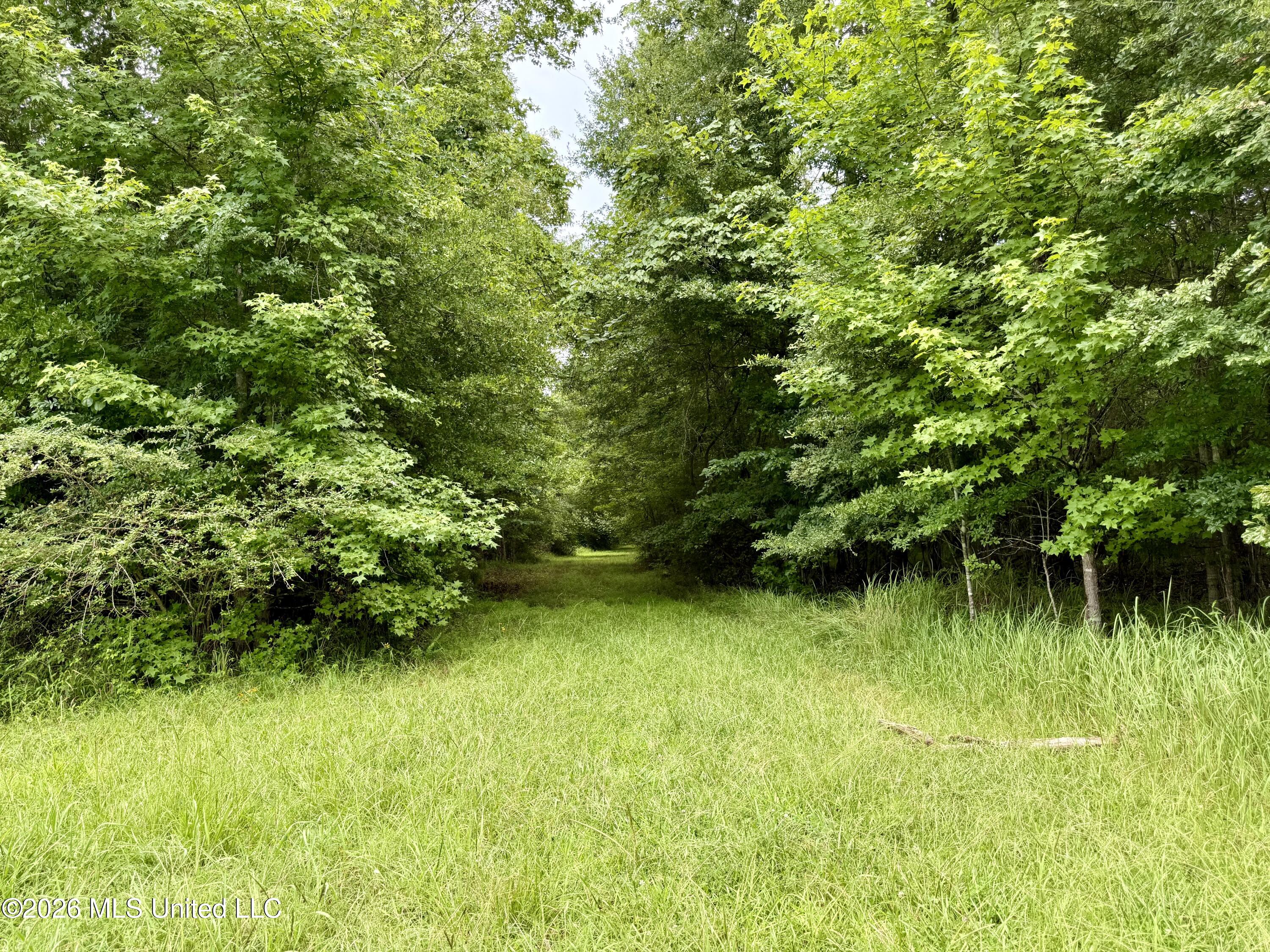 568 Smith Bailey Road Property Photo 50