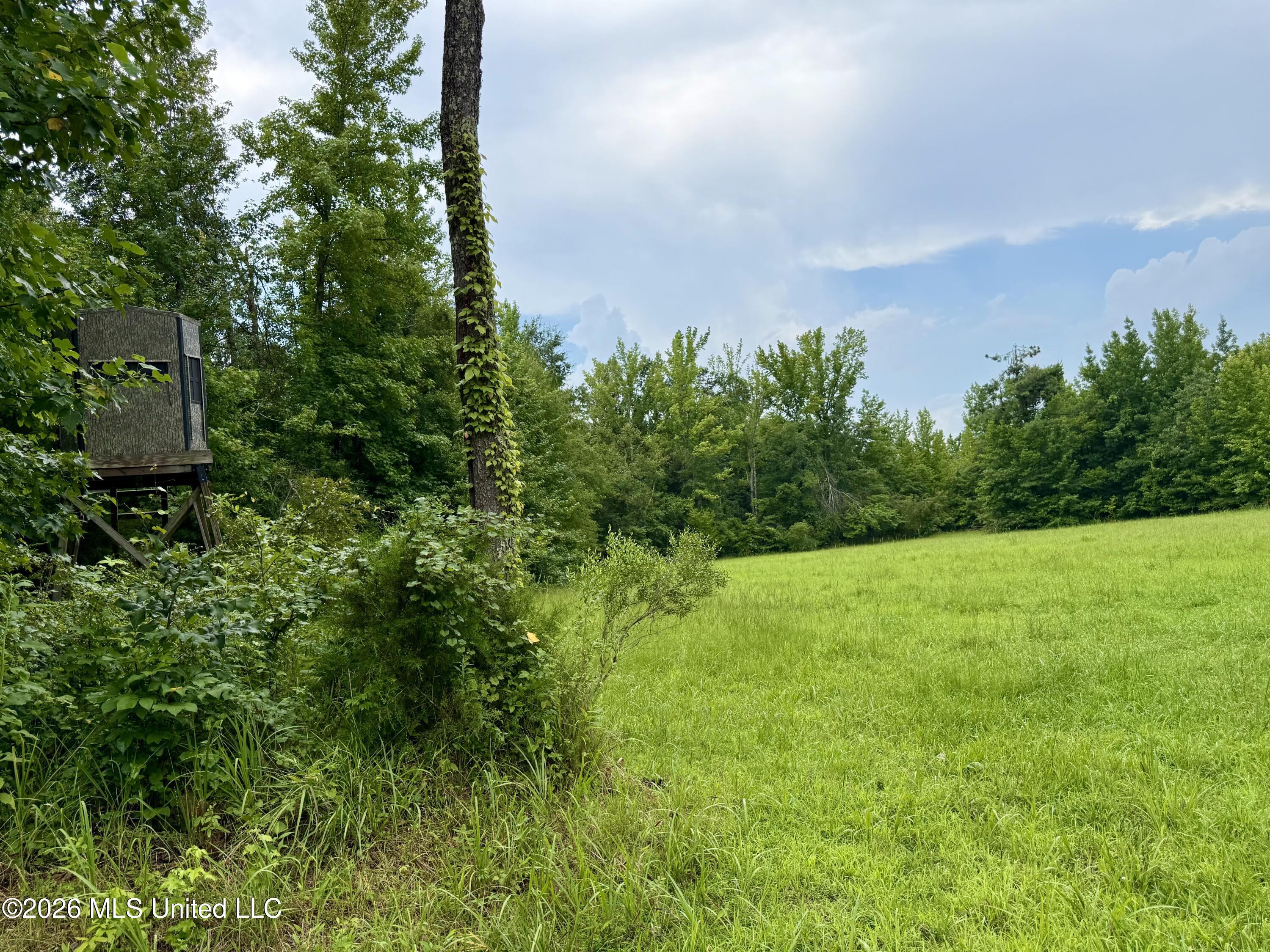 568 Smith Bailey Road Property Photo 51