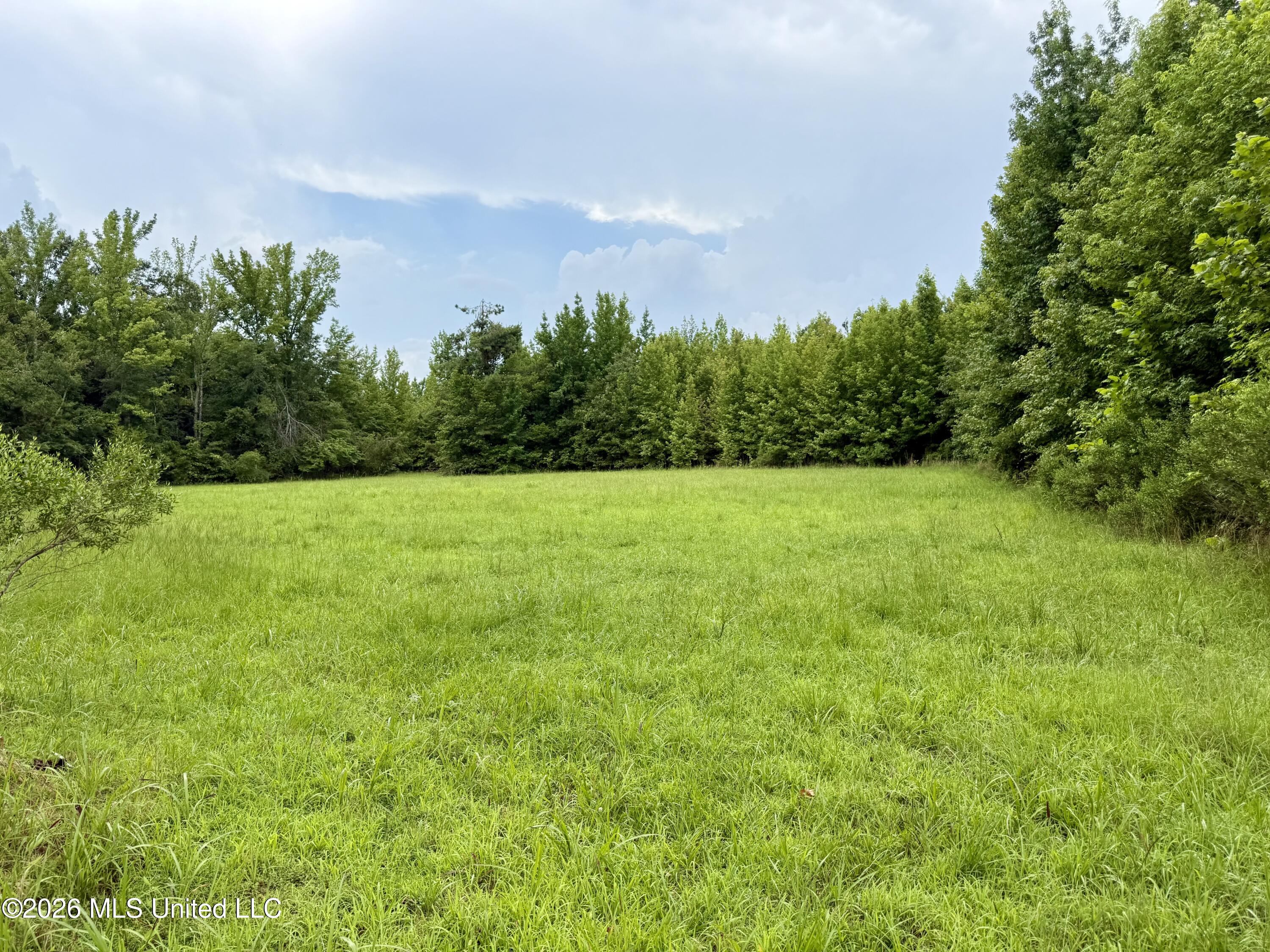 568 Smith Bailey Road Property Photo 52