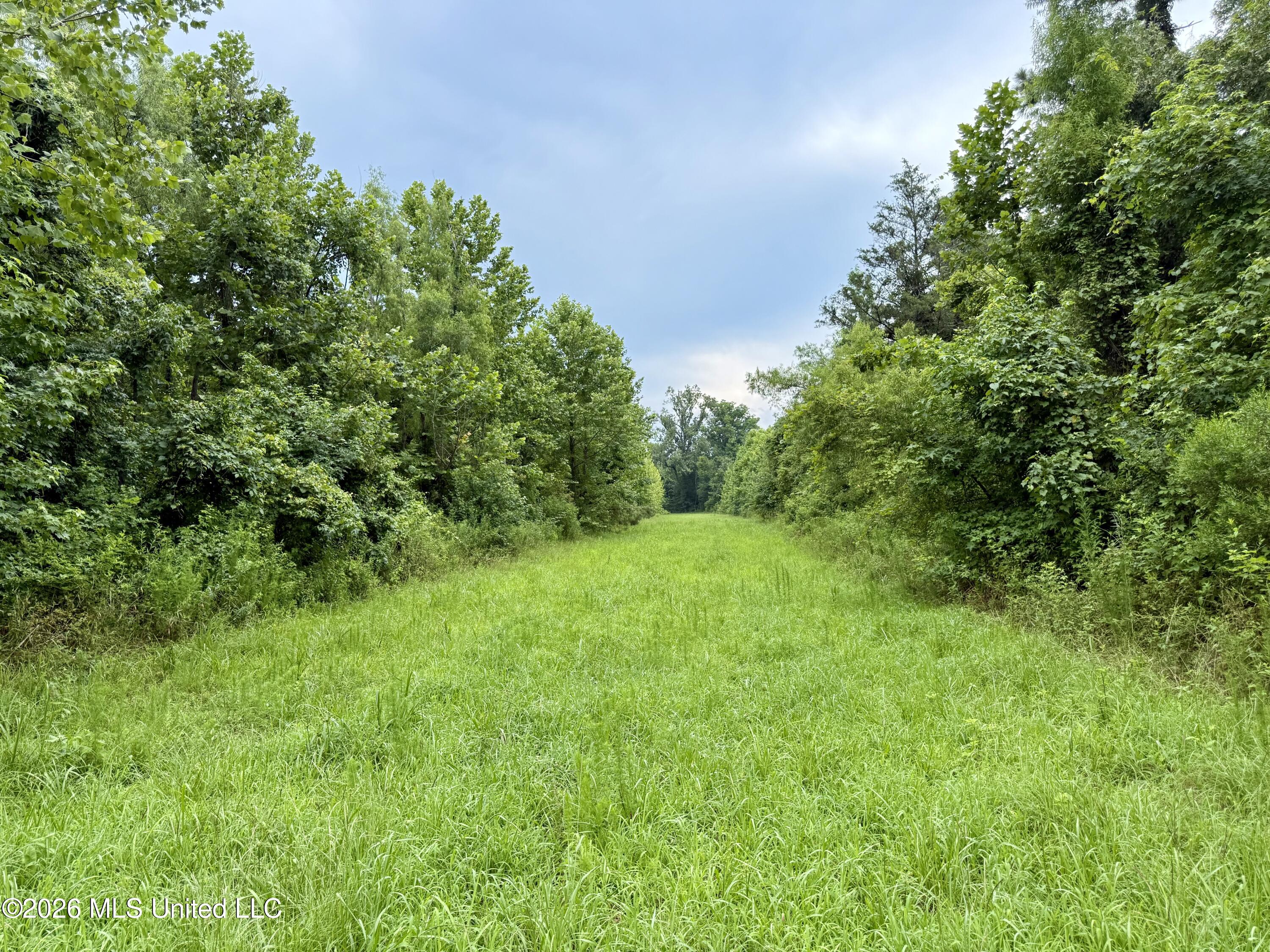 568 Smith Bailey Road Property Photo 53