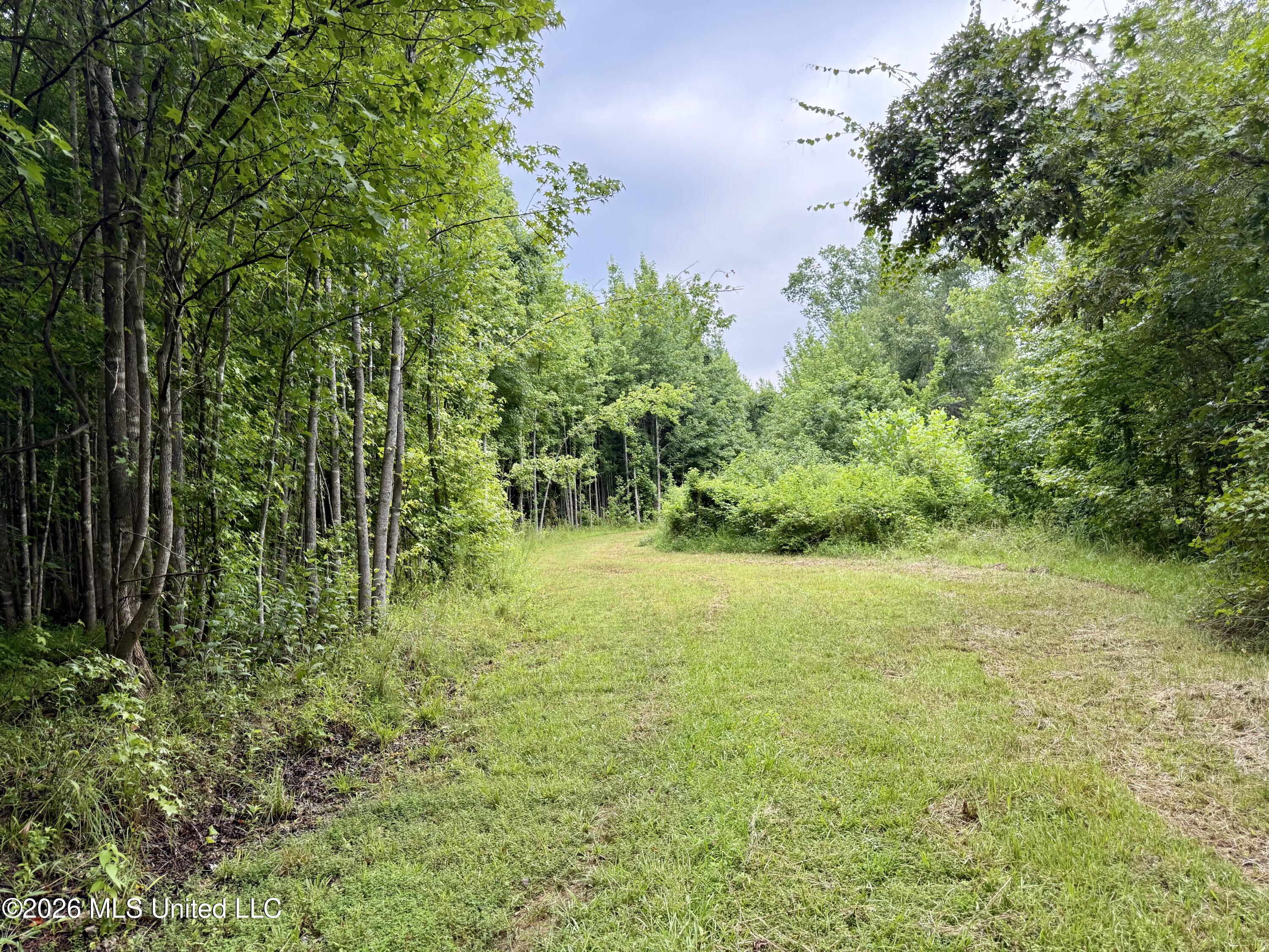 568 Smith Bailey Road Property Photo 56
