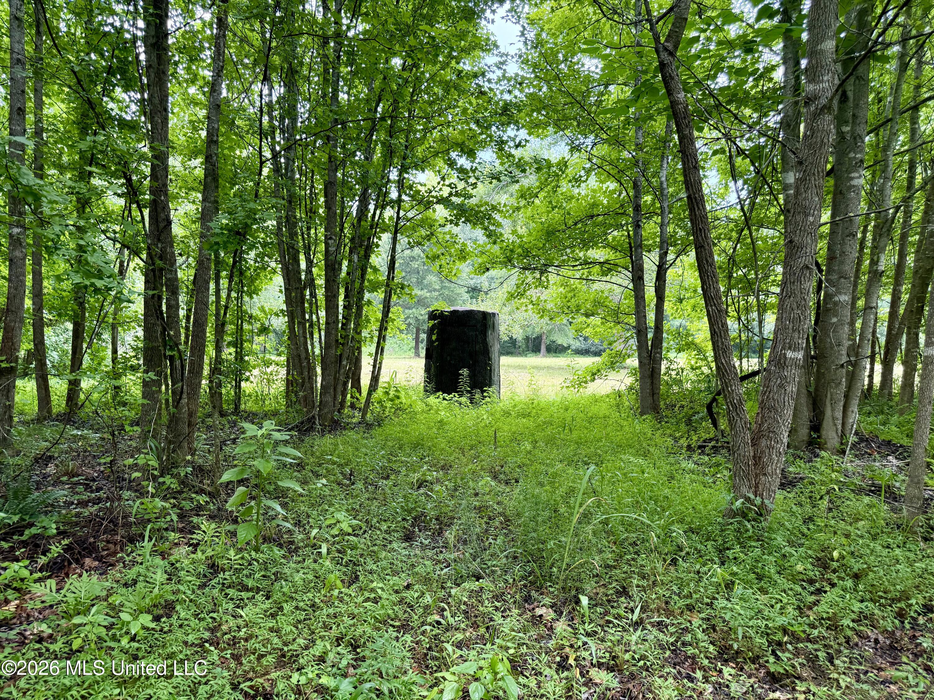 568 Smith Bailey Road Property Photo 57