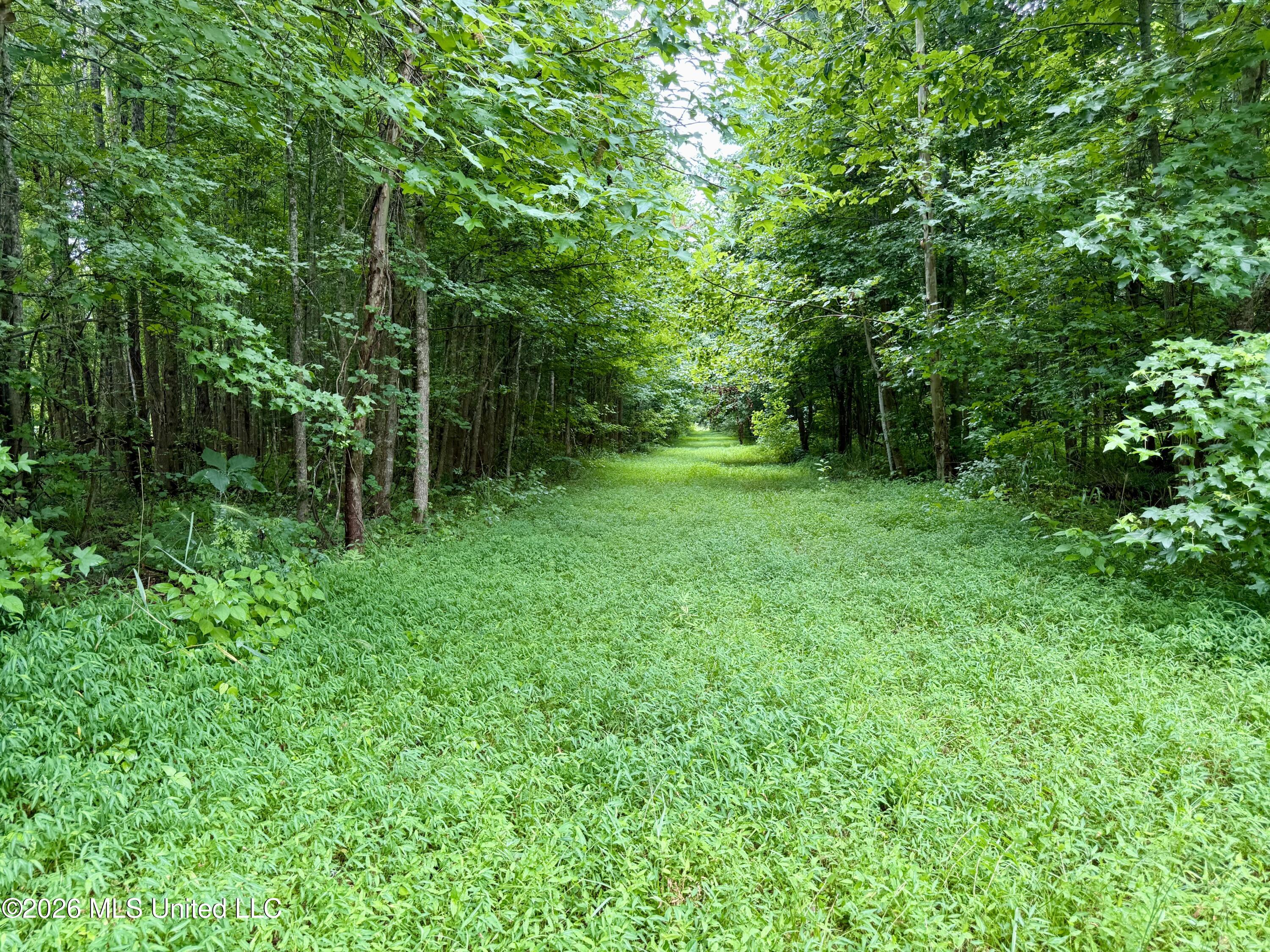 568 Smith Bailey Road Property Photo 58