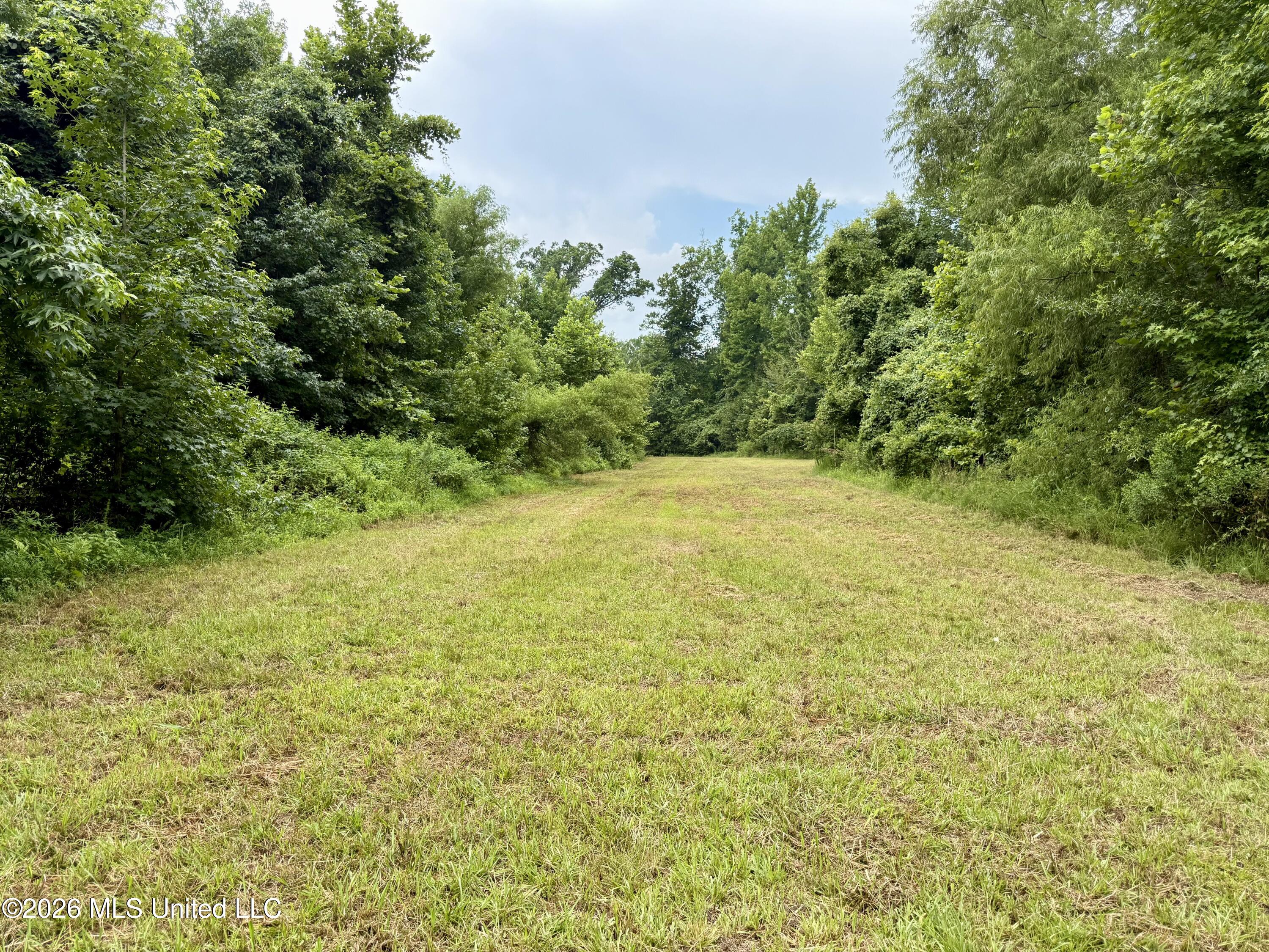568 Smith Bailey Road Property Photo 59