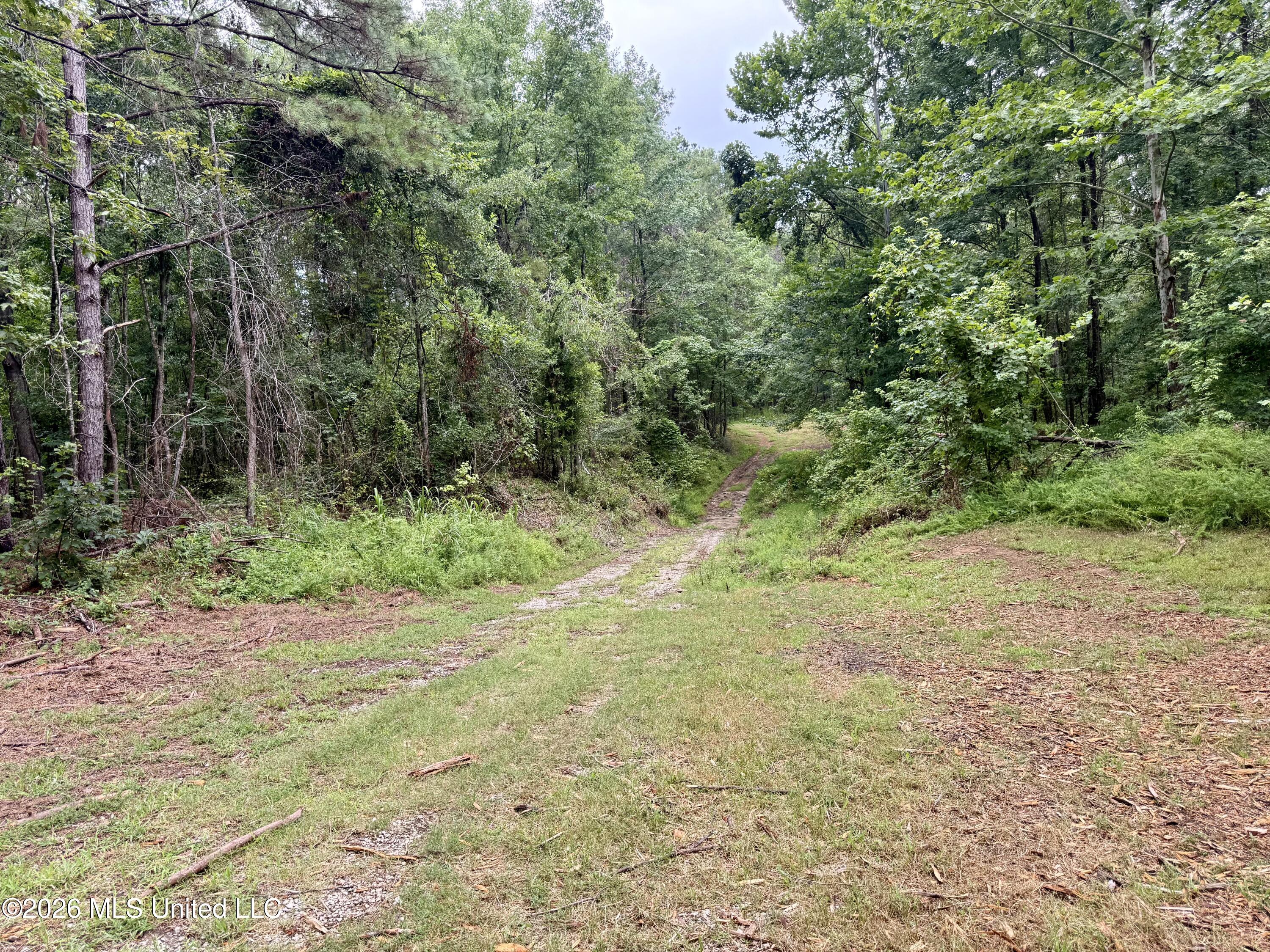 568 Smith Bailey Road Property Photo 62