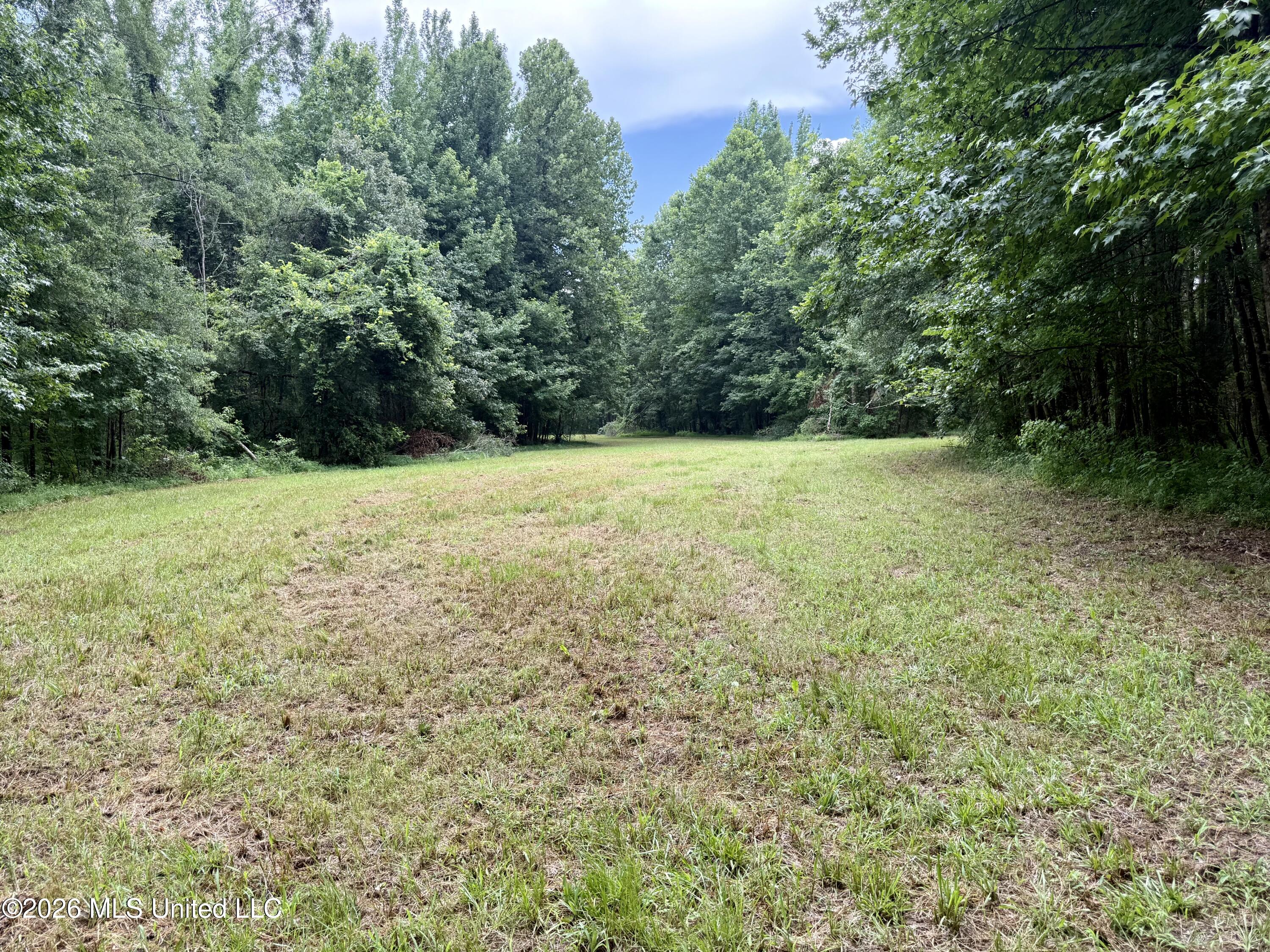 568 Smith Bailey Road Property Photo 65